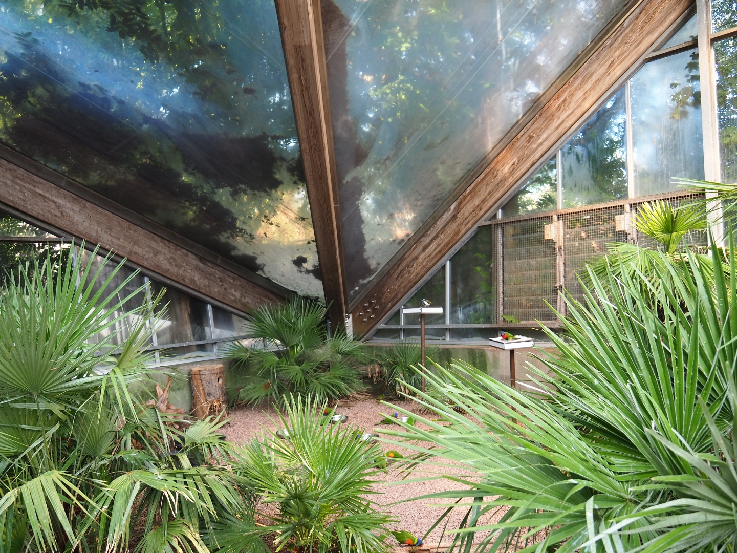 Bird feeding area (Sep 2nd, 2018)