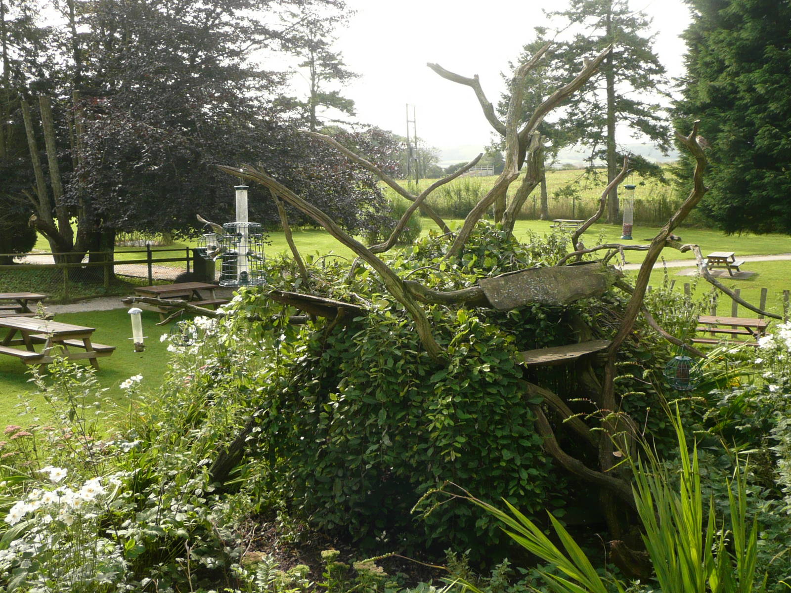 Bird Feeding Station