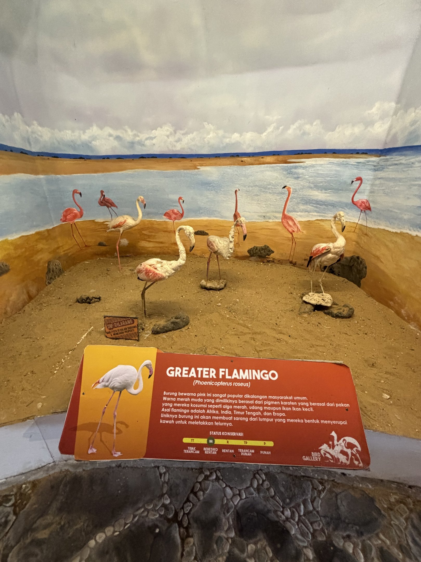 Bird Gallery Diorama