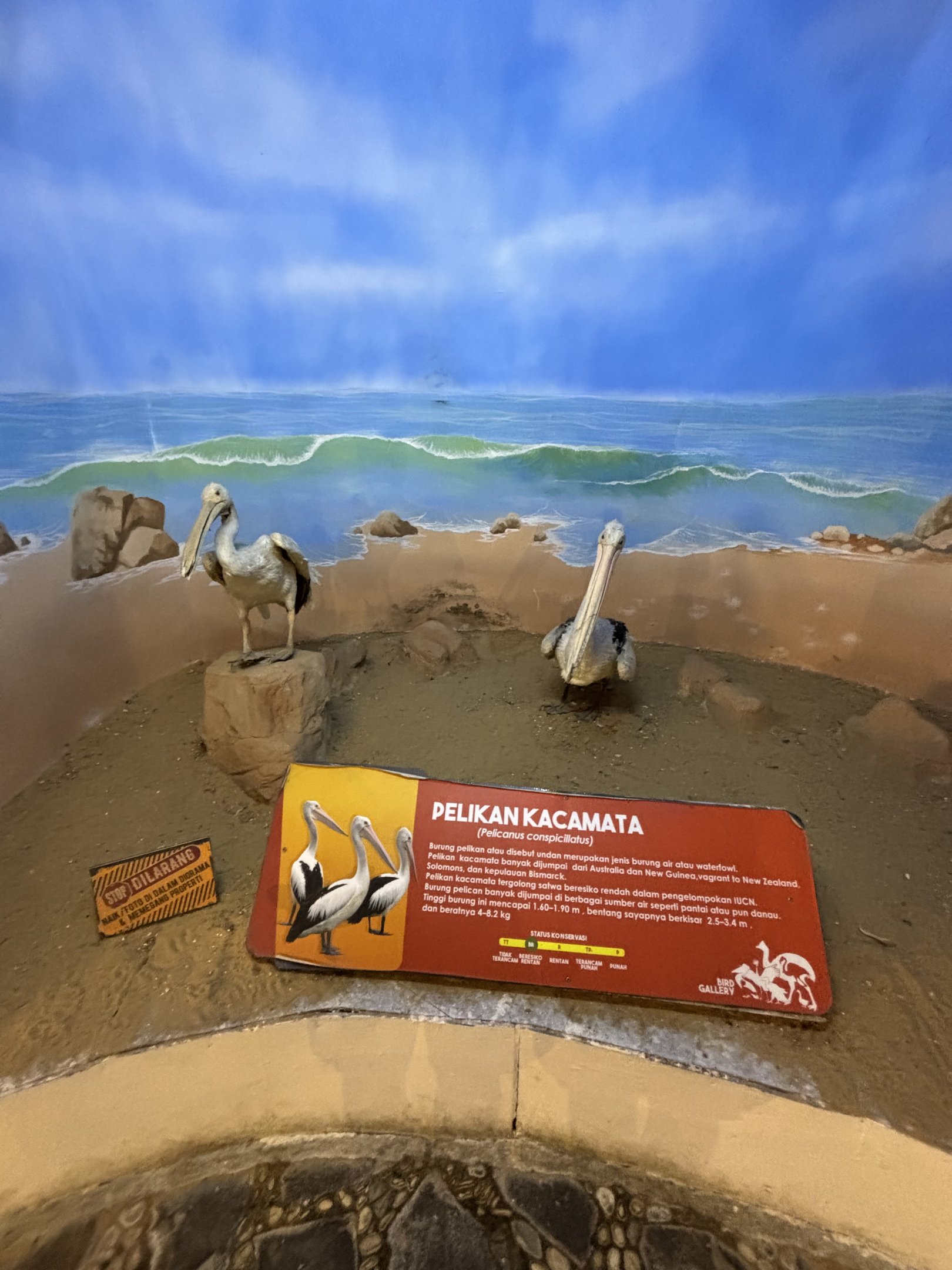 Bird Gallery Diorama