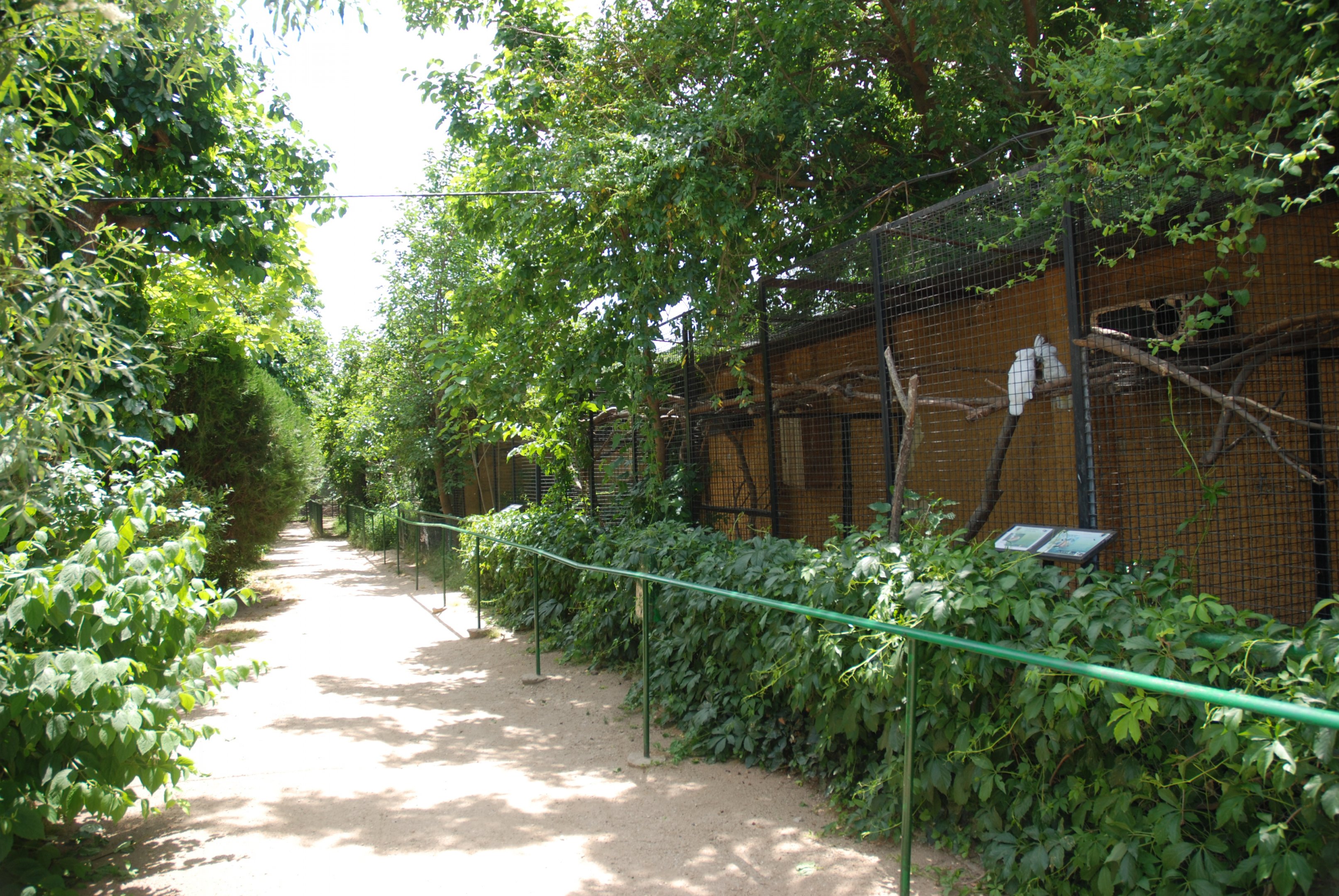 Bird Garden at Safari Madrid, 19th May 2022