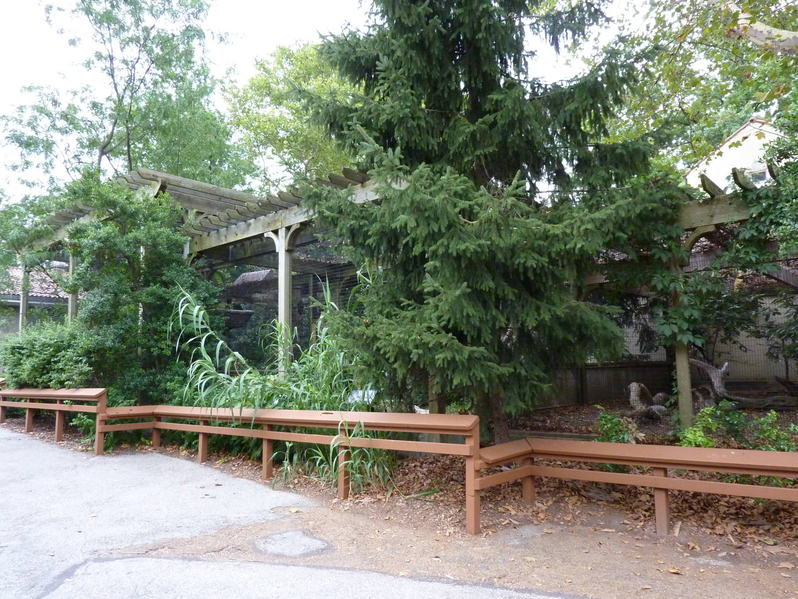 Bird Garden - Bateleur Eagle + Cinereous Vulture Exhibits