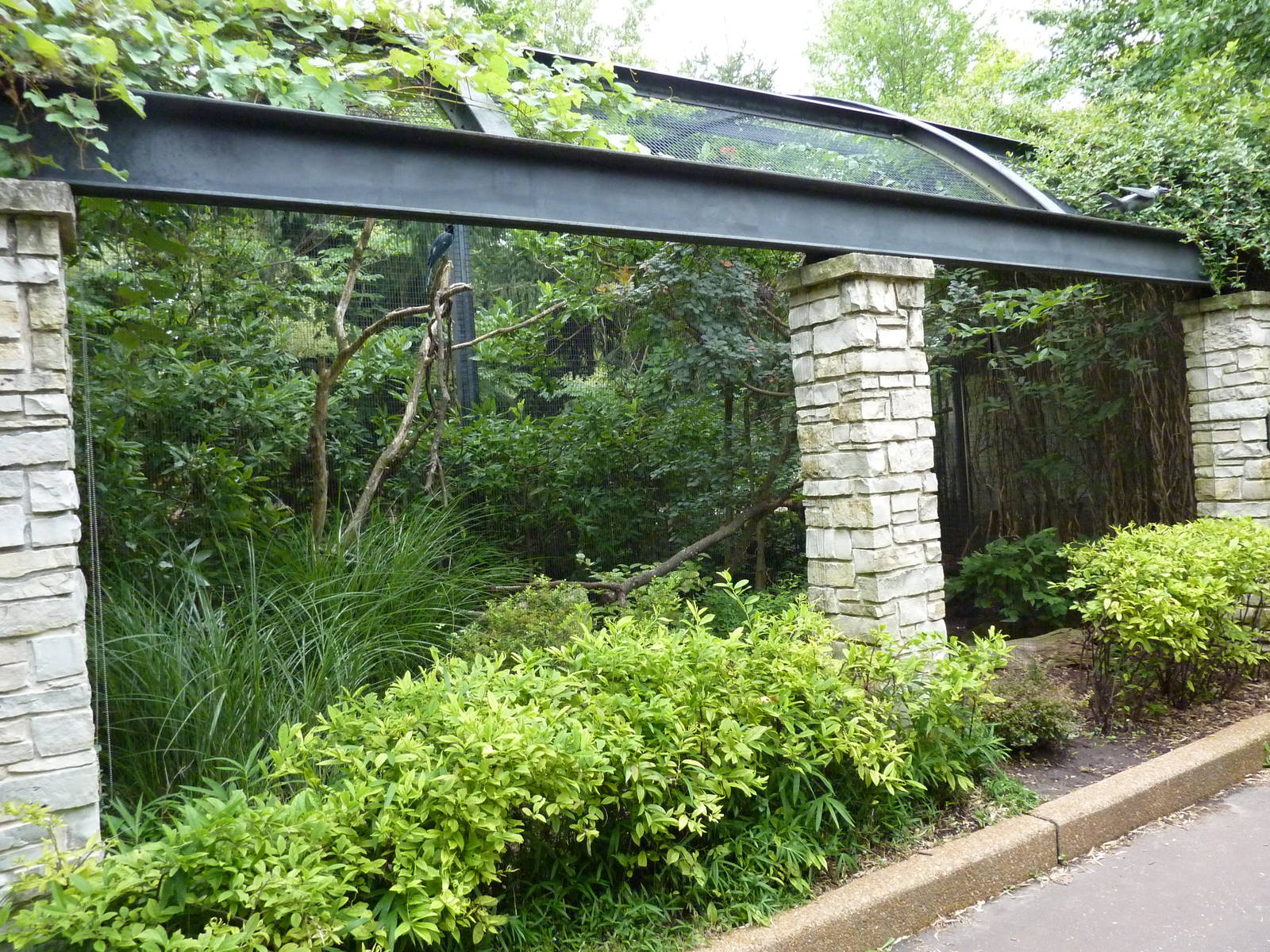 Bird Garden - Collie's Jay/Helmeted Curassow Exhibit