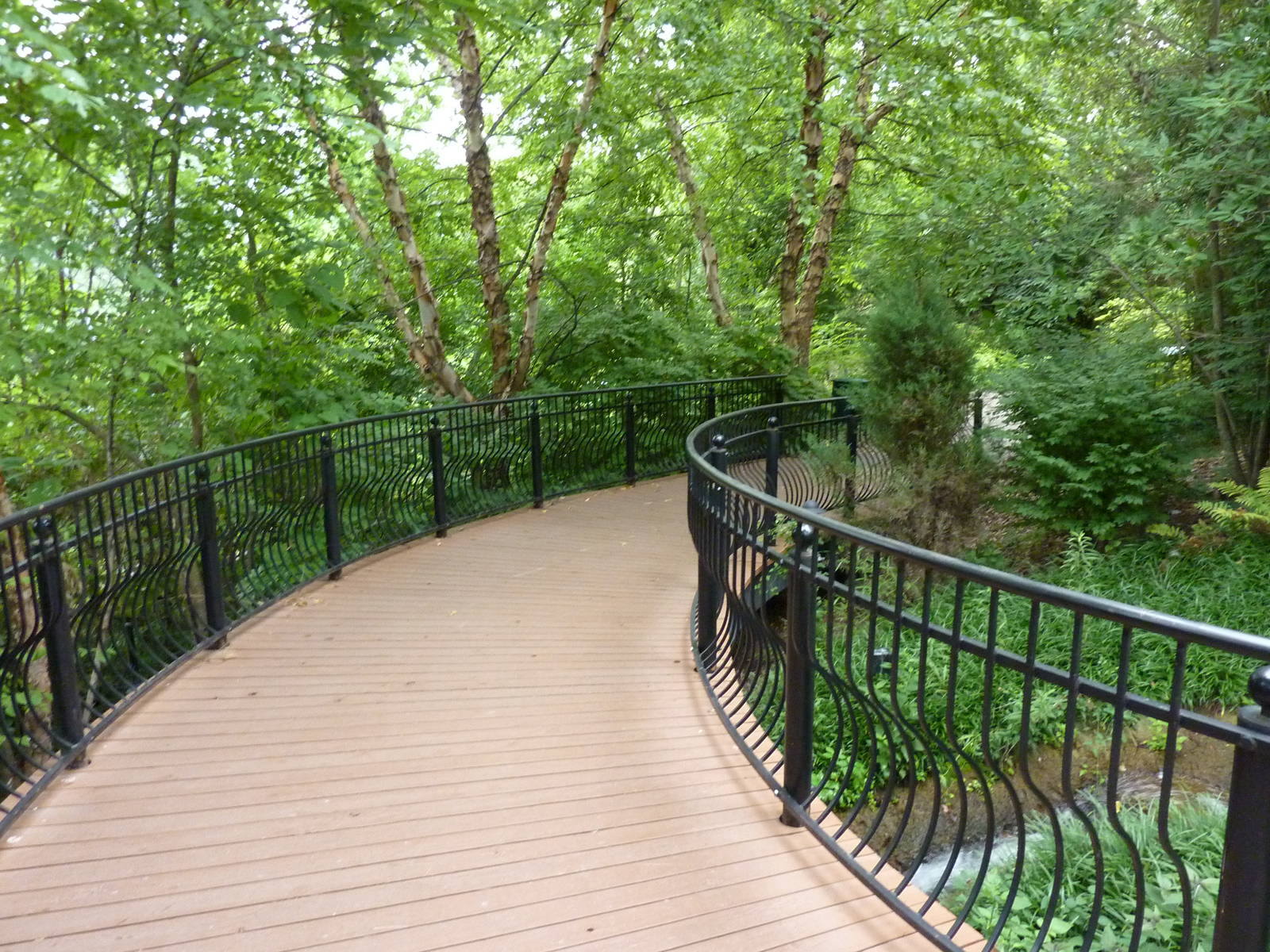 Bird Garden - Elevated Walkway