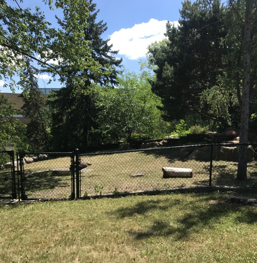 Bird garden- Galapagos tortoises exhibit