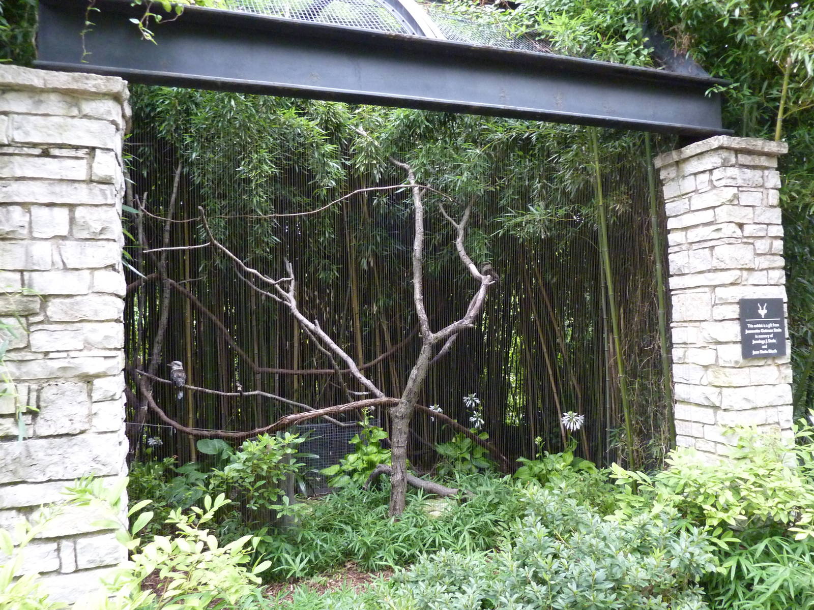 Bird Garden - Kookaburra/Blue-Faced Honeyeater Exhibit