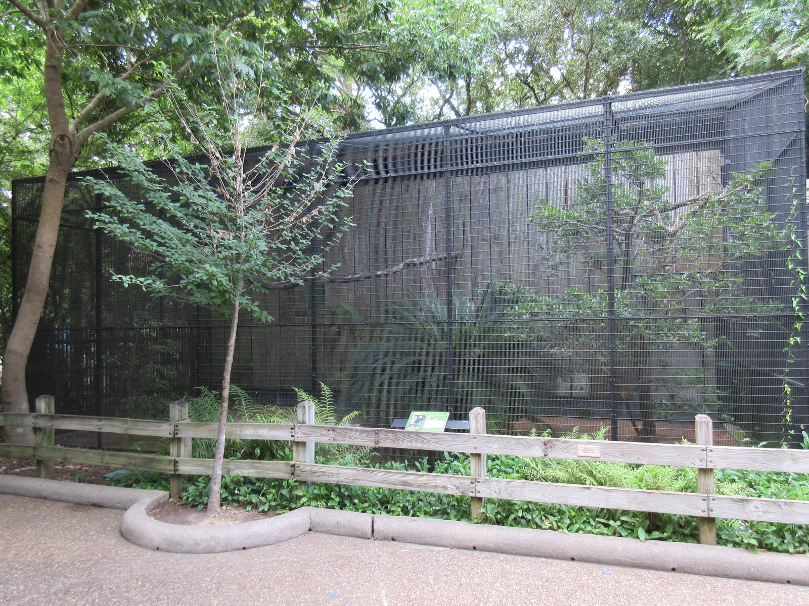 Bird Garden - Rhinoceros Hornbill Exhibit
