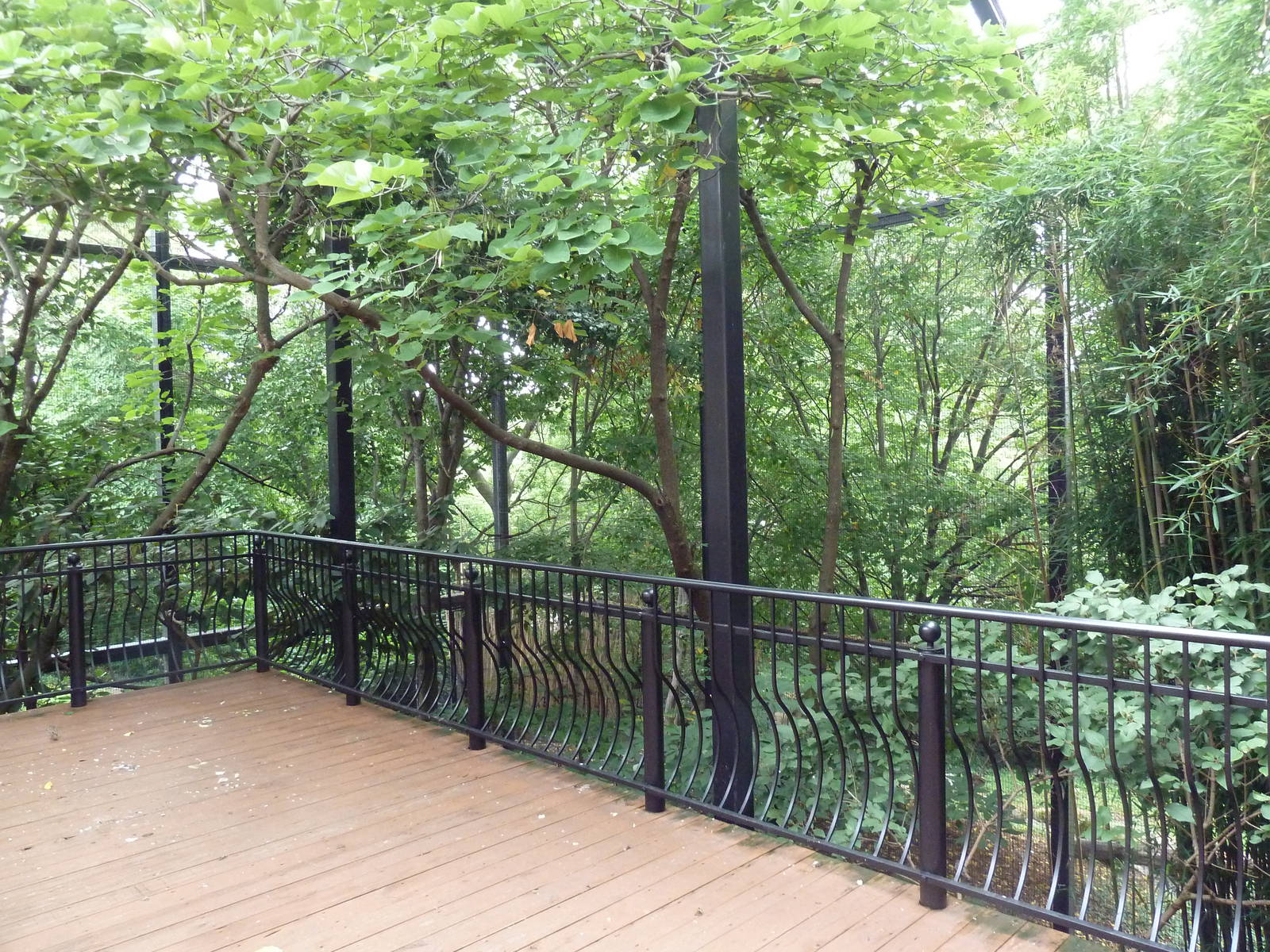 Bird Garden - Small Walk-Through Aviary