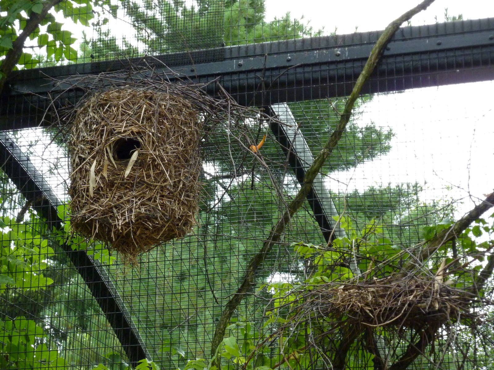 Bird Garden - Walk-Through Aviary Nest