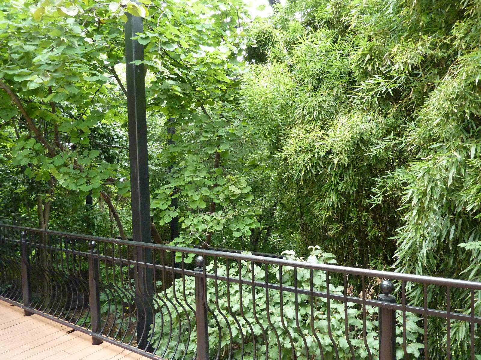 Bird Garden - Walk-Through Aviary