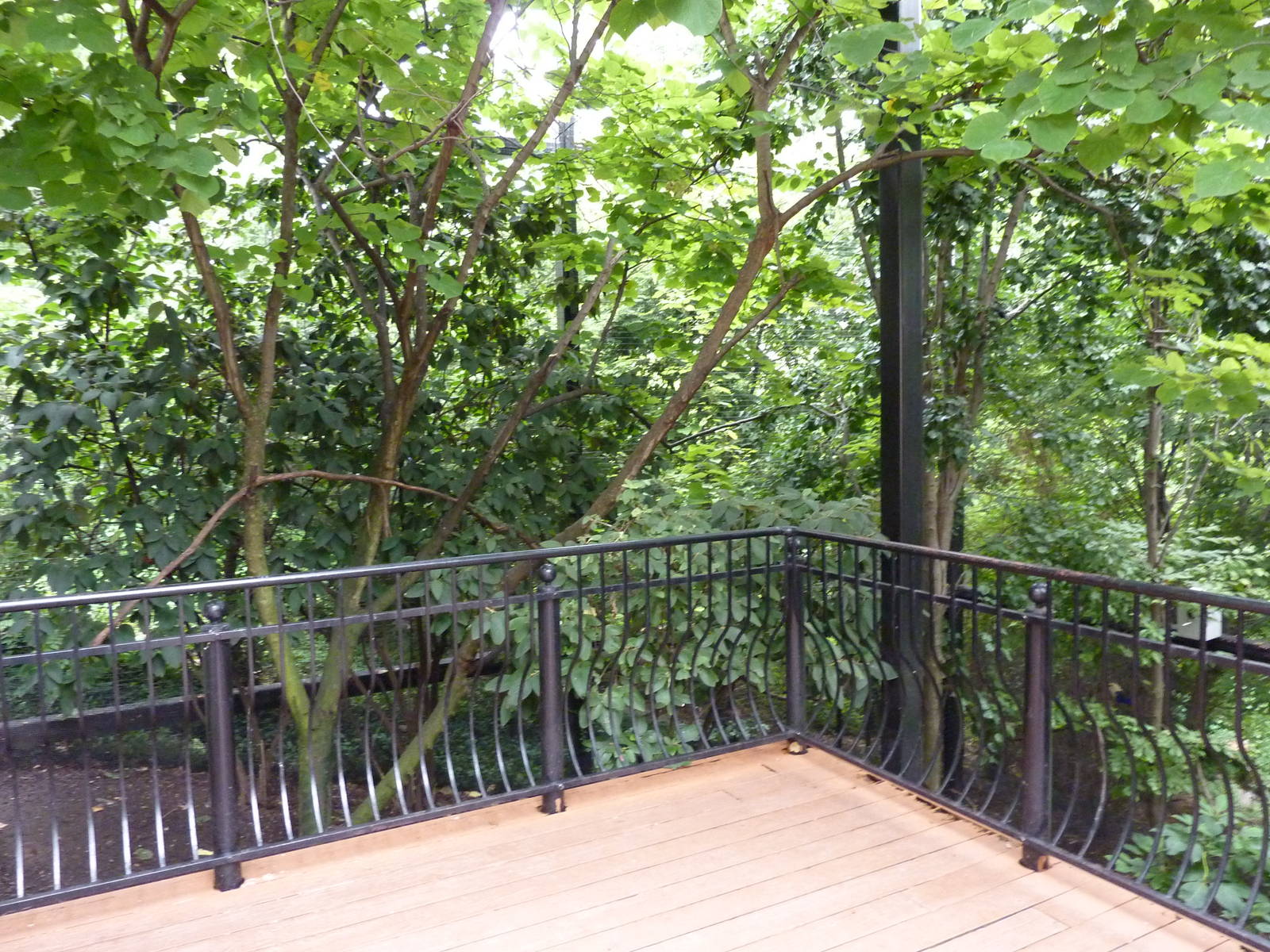 Bird Garden - Walk-Through Aviary