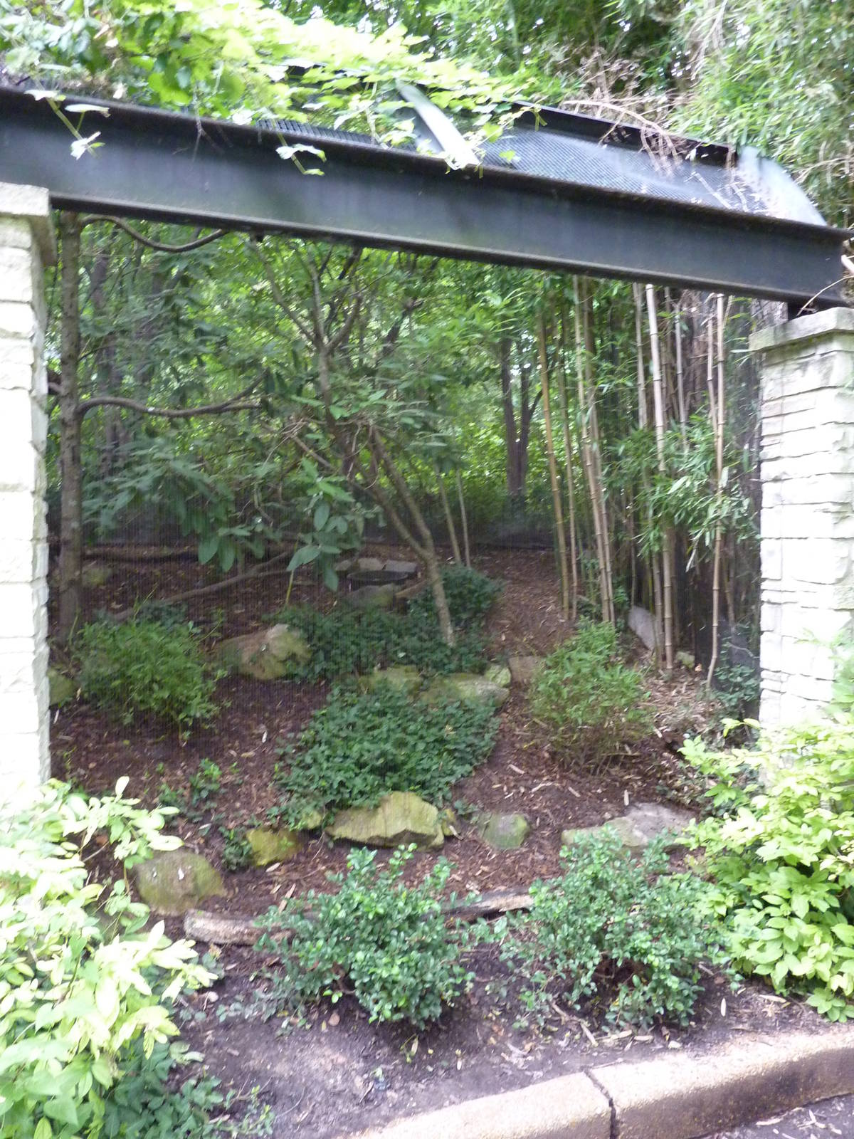 Bird Garden - White-Crested Laughing Thrush/Cabot's Tragopan Exhibit