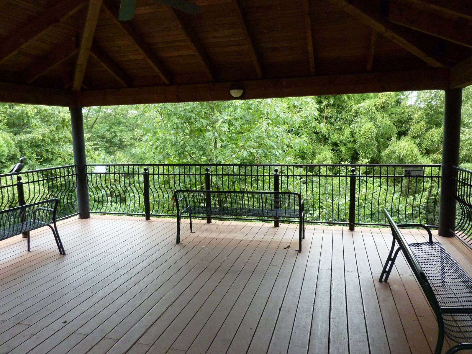 Bird Garden - White-Naped Crane Exhibit Overlook