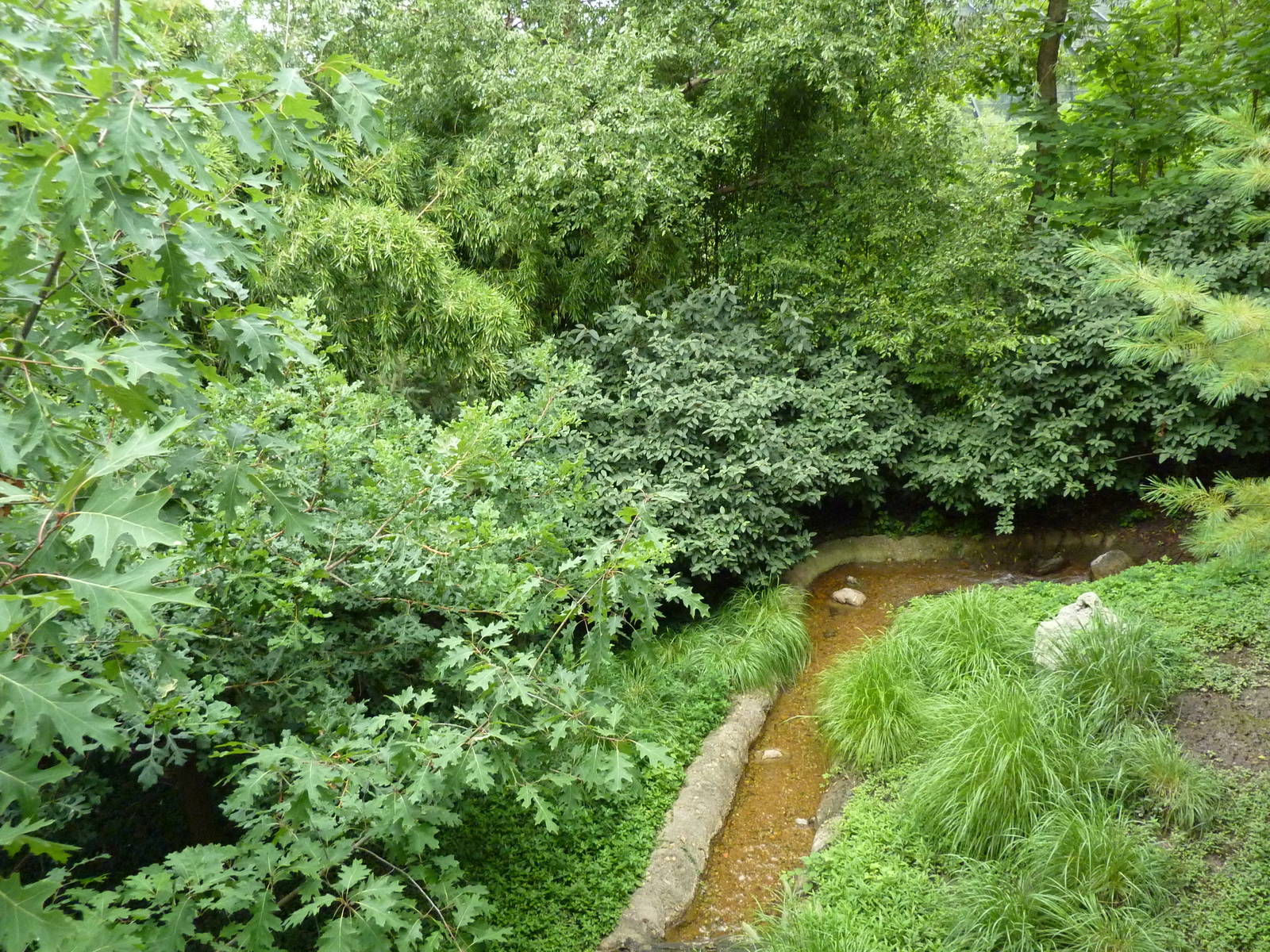 Bird Garden - White-Naped Crane Exhibit