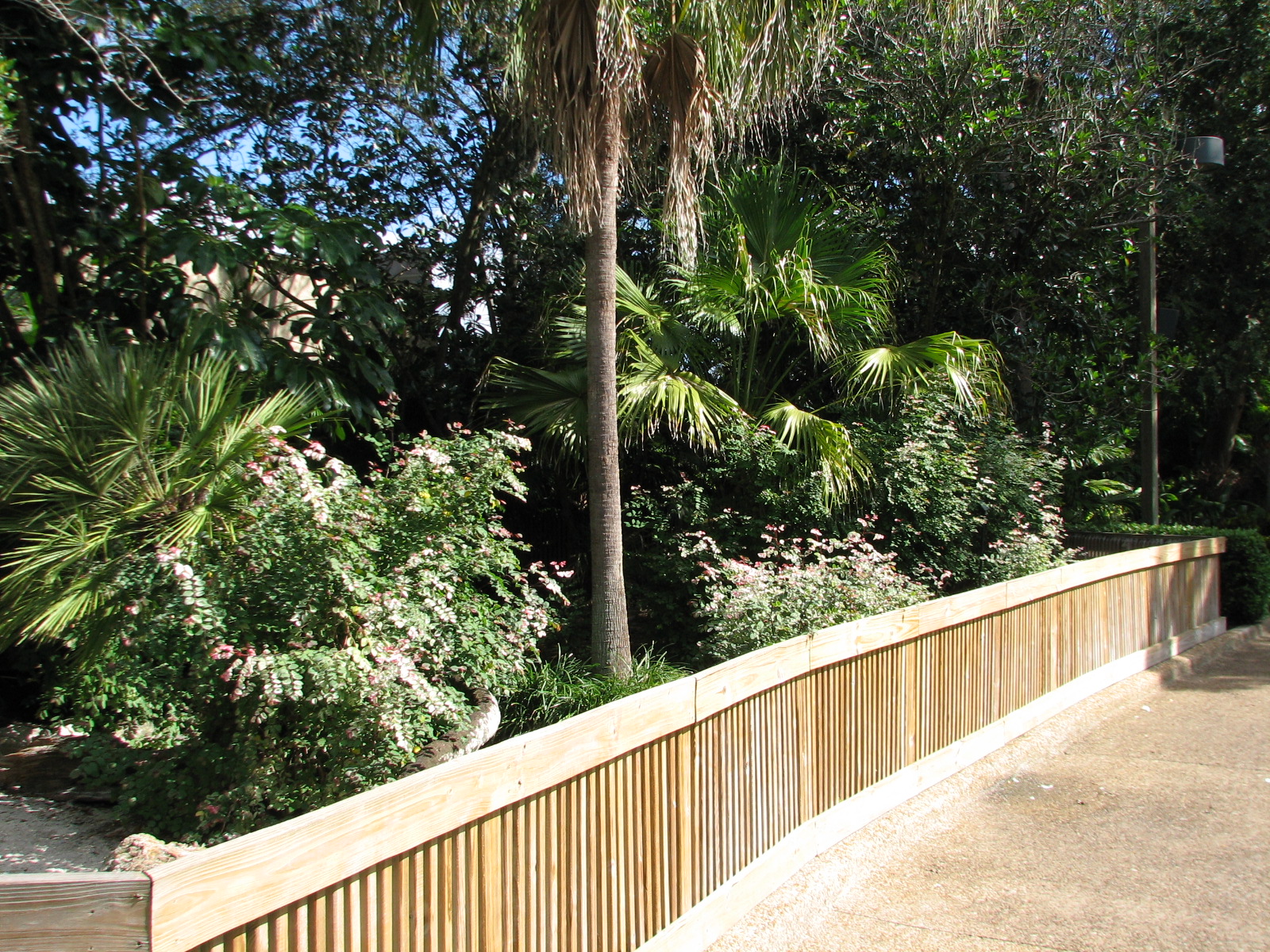 Bird Gardens - Bar-headed Goose Exhibit