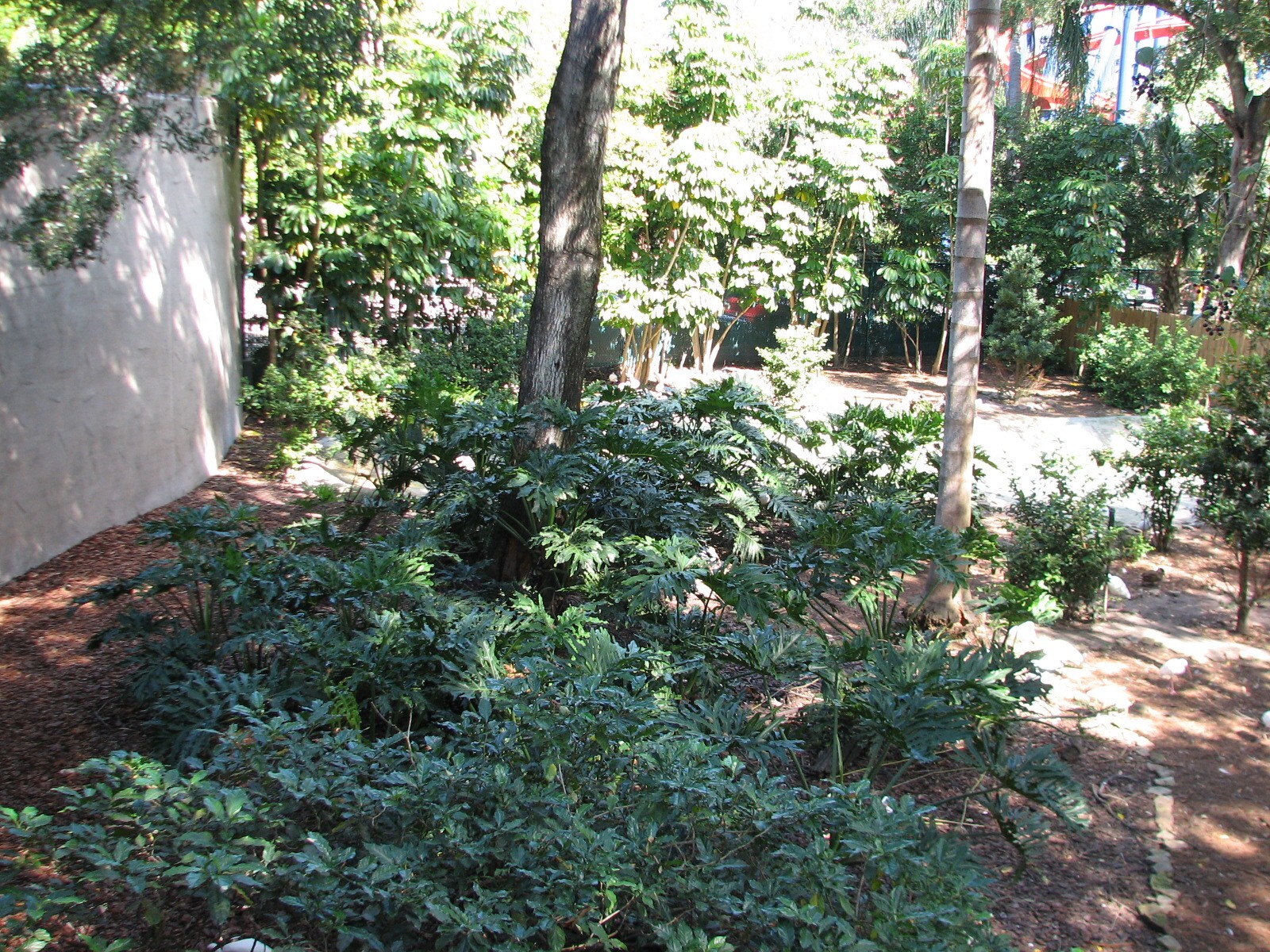 Bird Gardens - Giant Anteater, Crested Screamer, and Indian Muntjac Exhibit