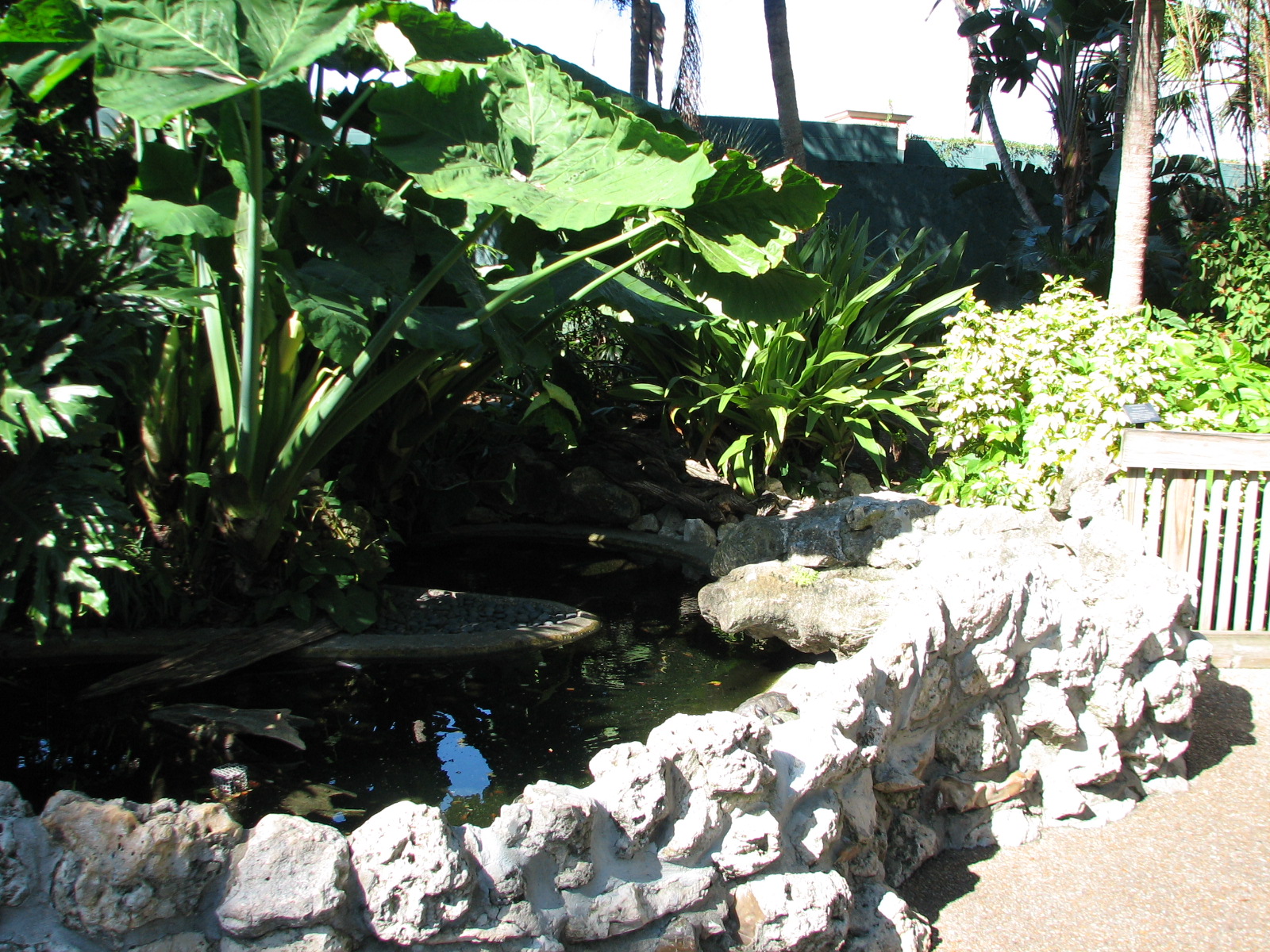 Bird Gardens - Turtle Exhibit