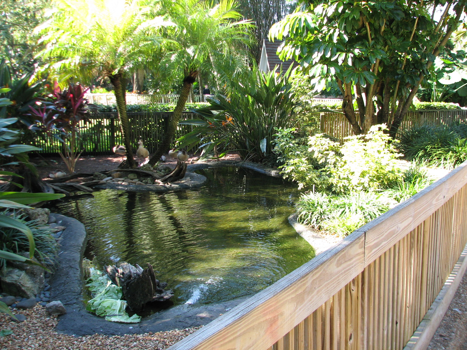 Bird Gardens - Waterfowl Exhibit