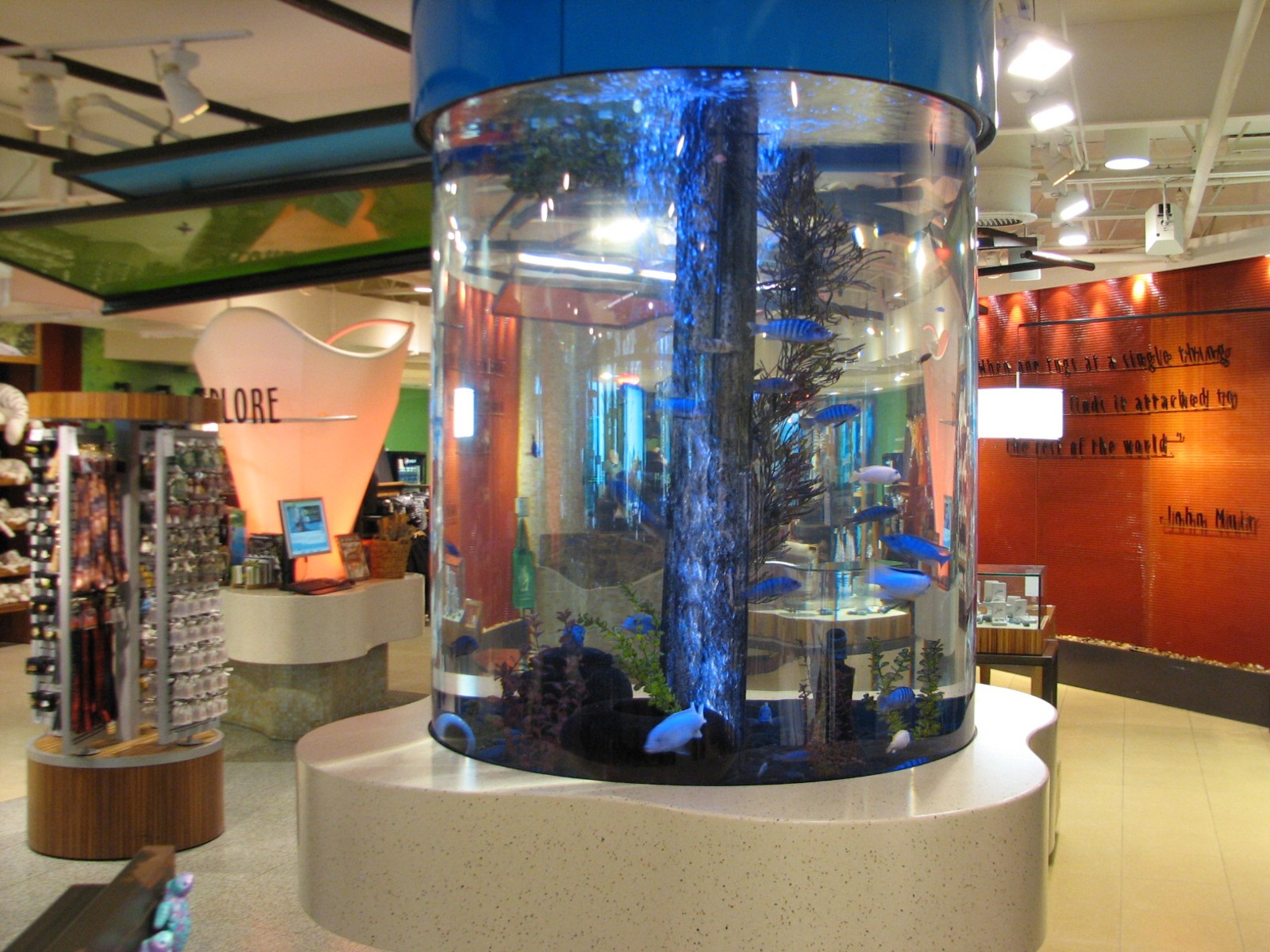 Bird Gardens - Xcursions Shop - Fish Exhibit