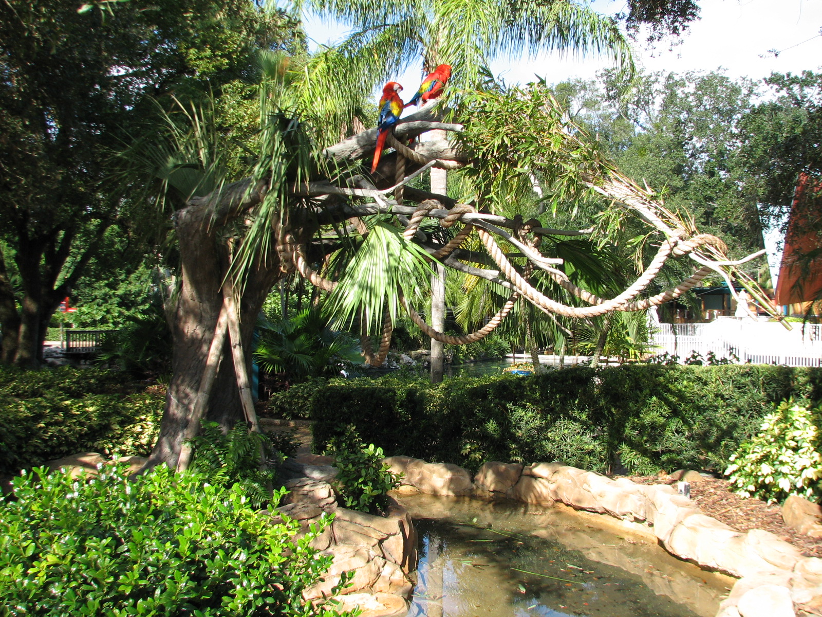Bird Gardens - Xcursions Shop - Macaw Exhibit