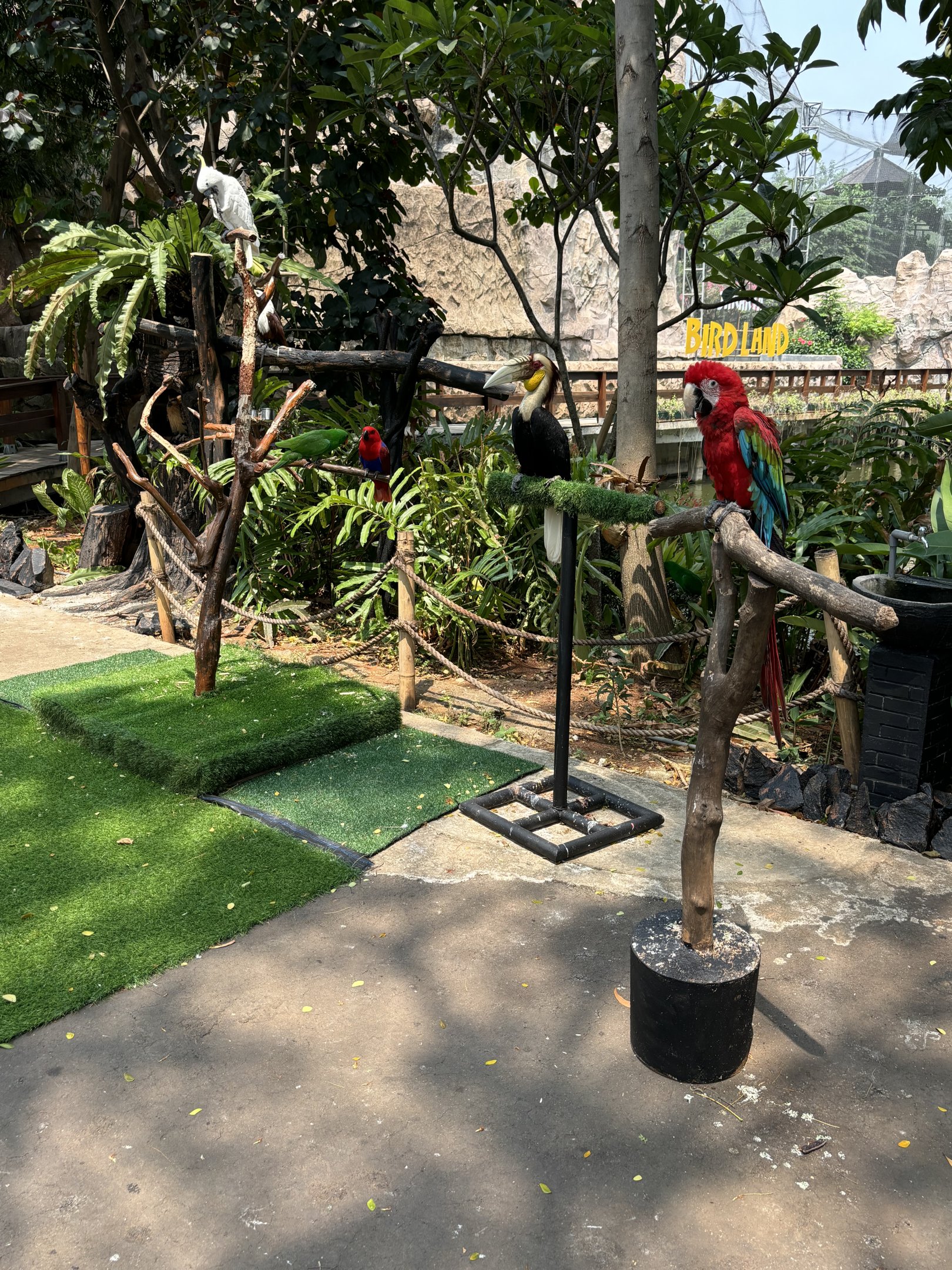 Bird Handling Area (extra fee) - Jakarta Bird Land
