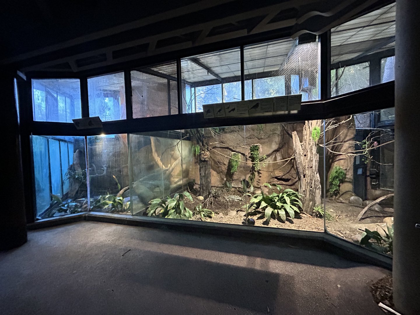 Bird & Herp Exhibits - Tiger River