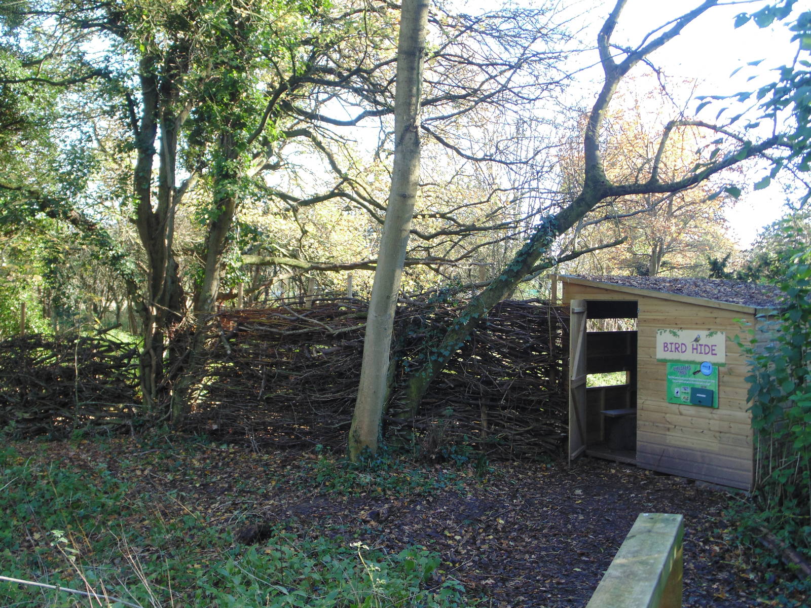 Bird Hide
