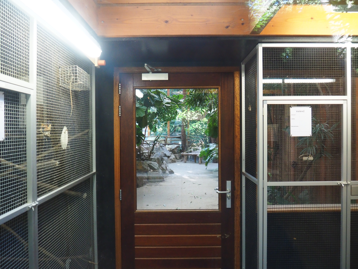 Bird holding aviaries in the Aldabra giant tortoise house, 2023-09-24