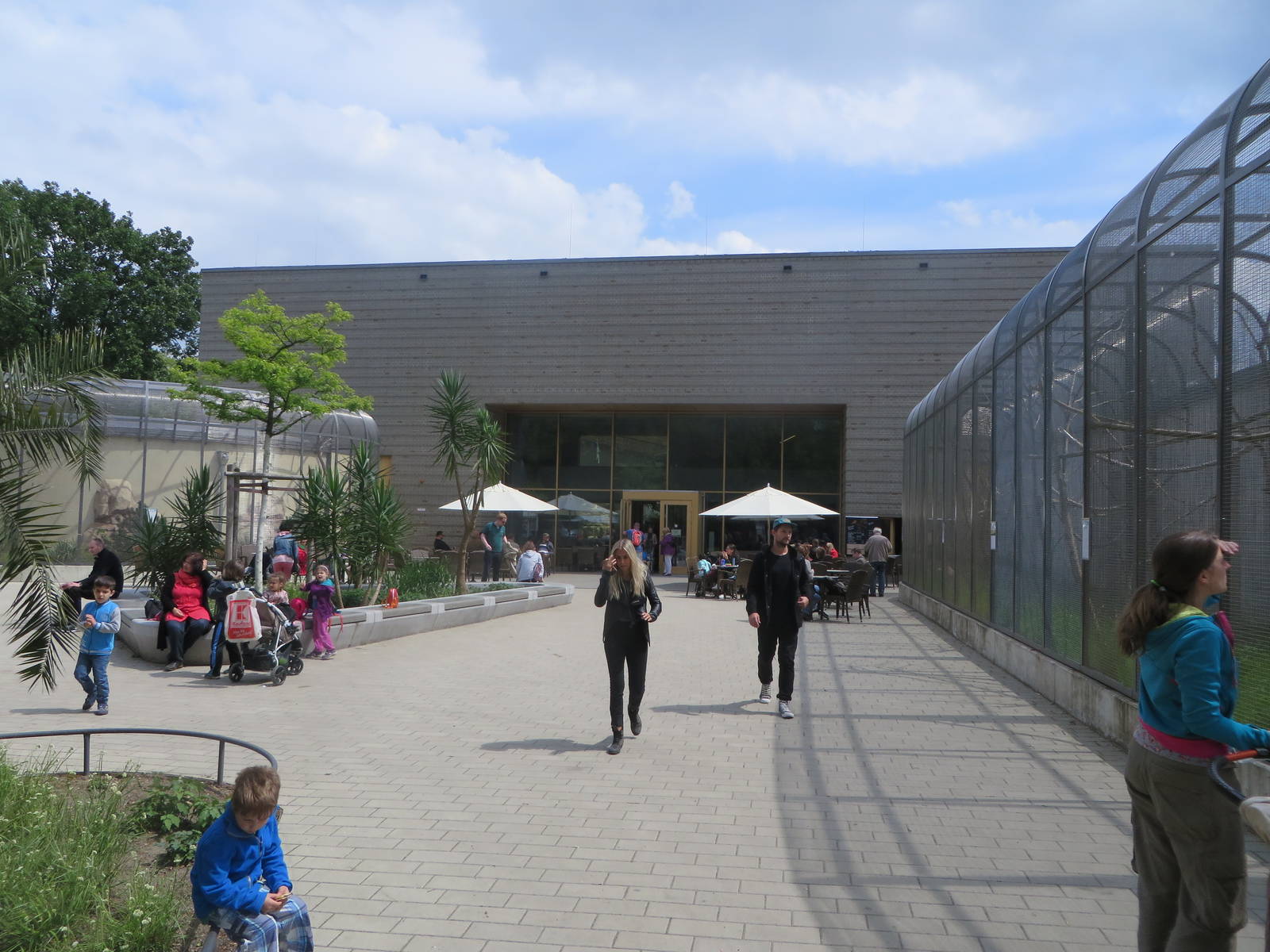 Bird houise - main entrance