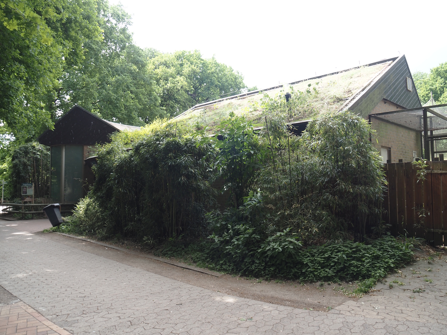 Bird house, 2025-05-22