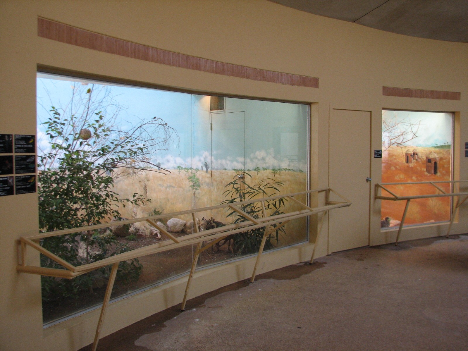 Bird House - African Exhibits