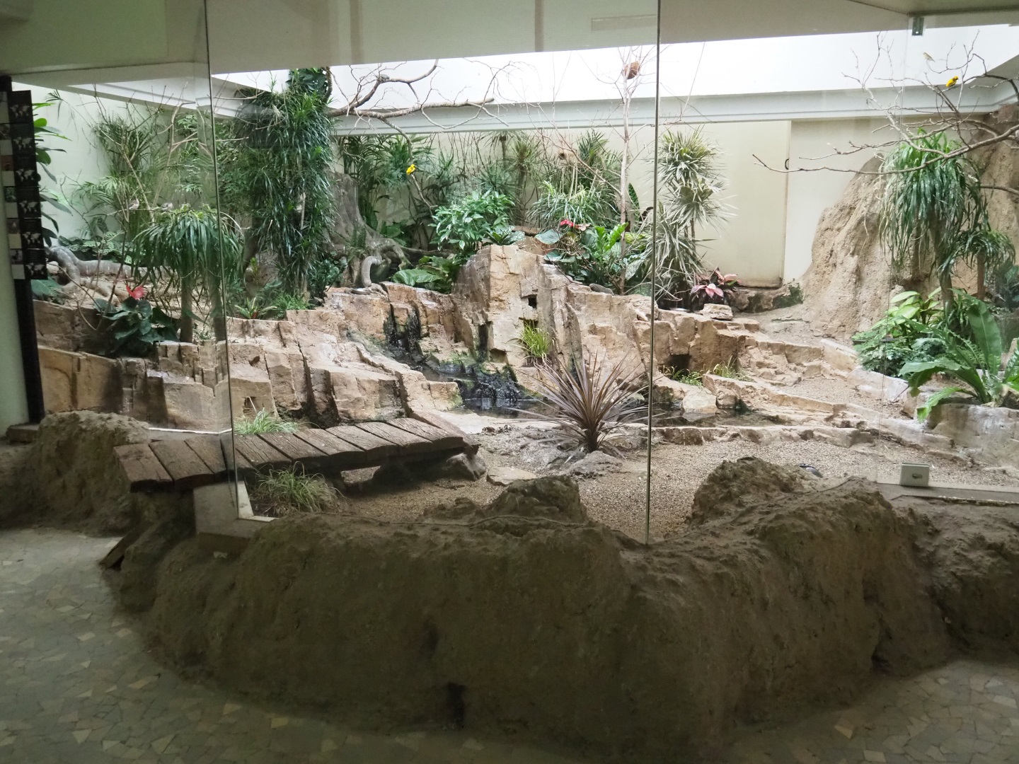 Bird House - African mixed aviary