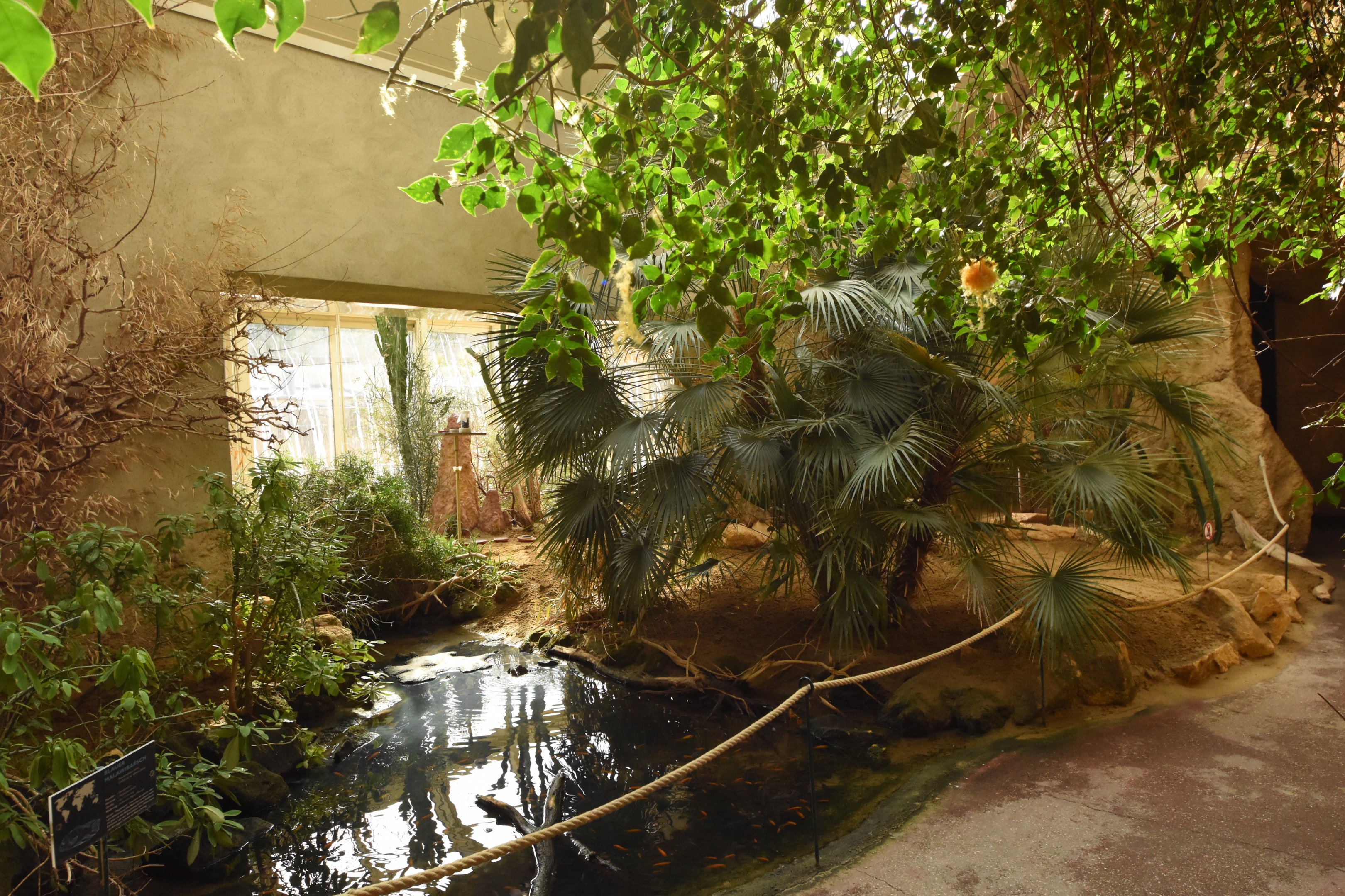 Bird house - African section