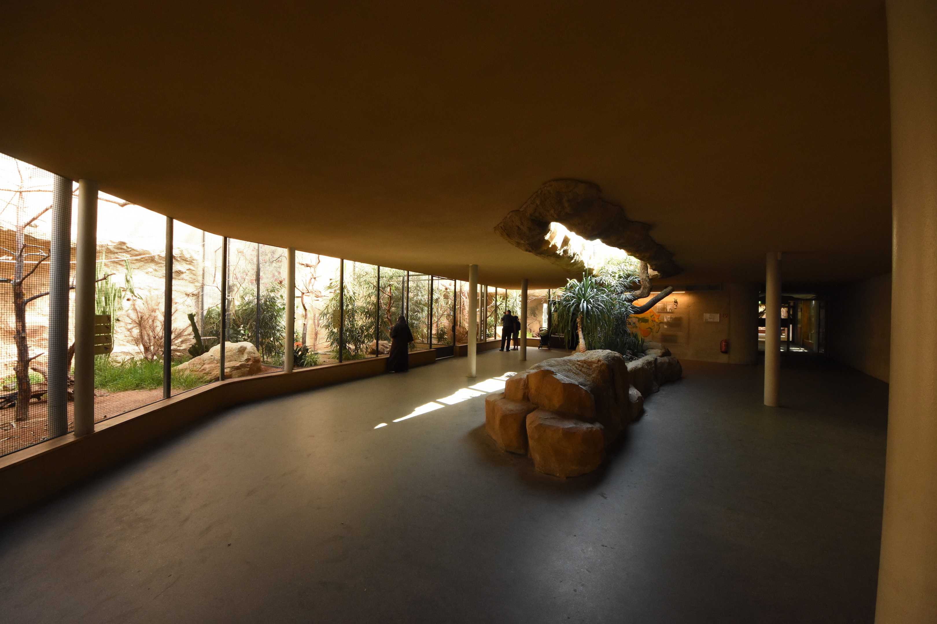 Bird house - African section