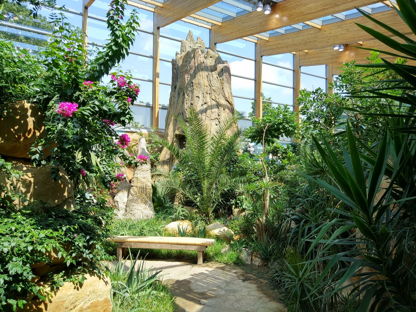 Bird House African Walkthrough