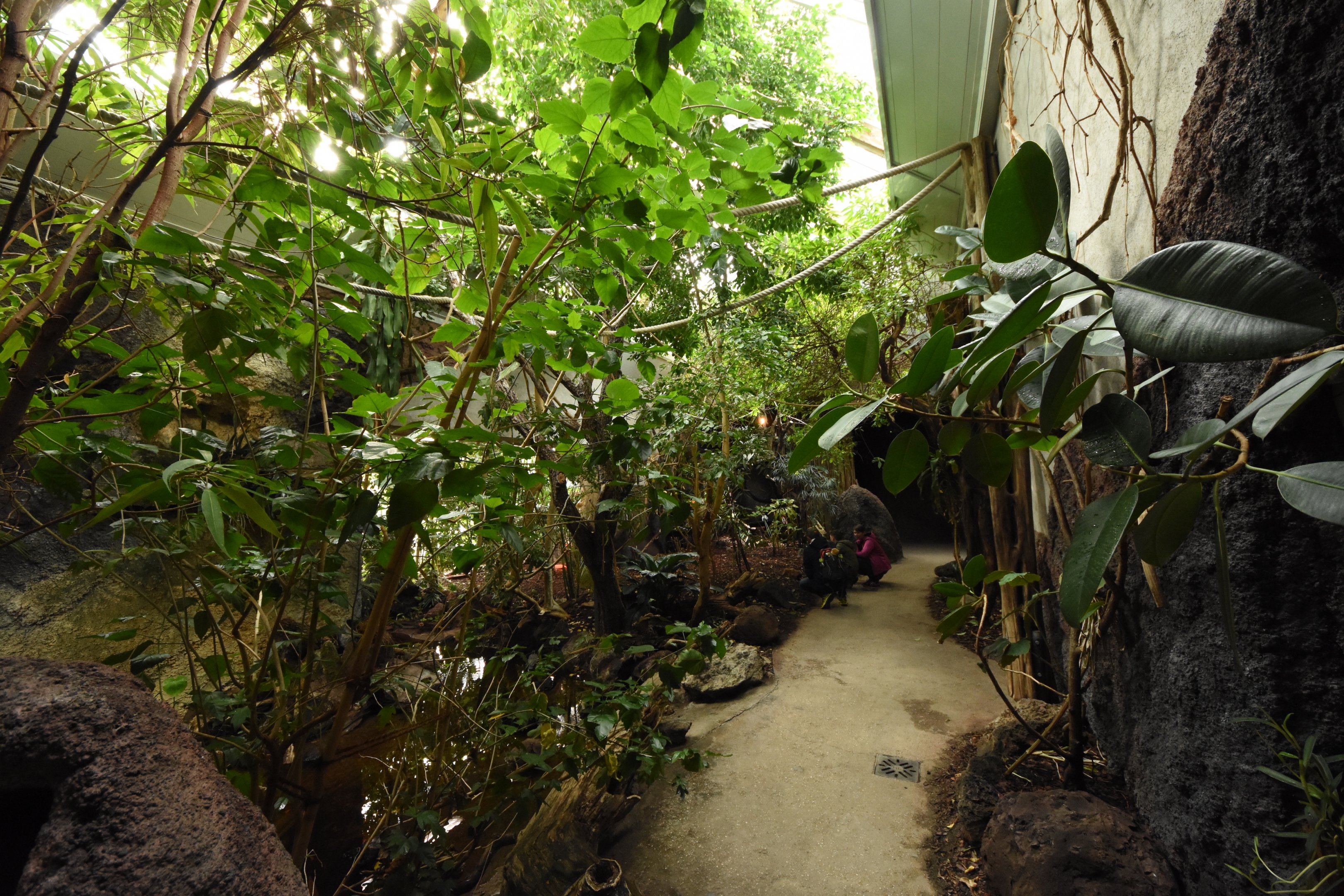 Bird house - American section