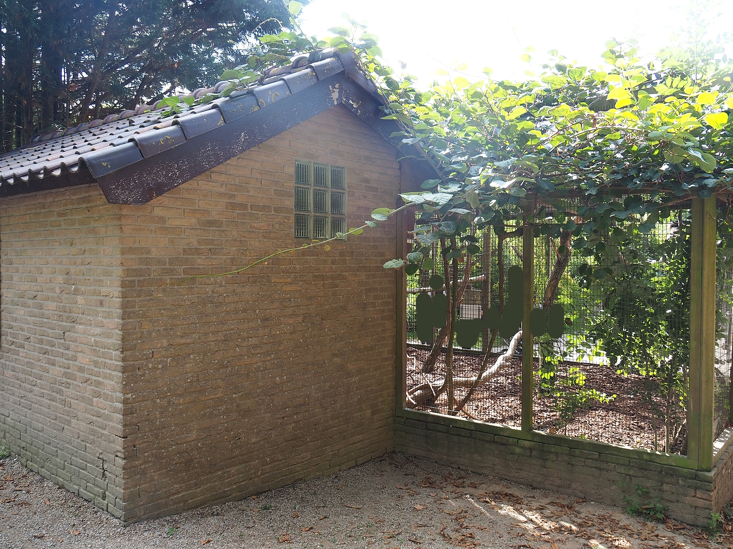 Bird house and part of Great hornbill and Himalayan monal pheasant aviary, 2022-08-28