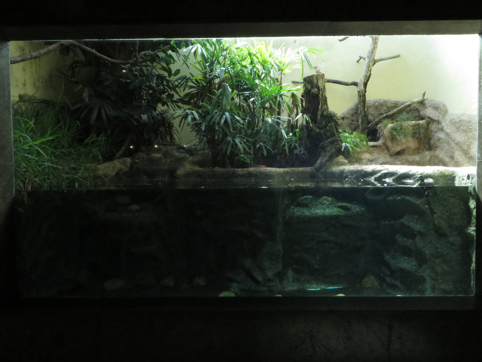 Bird house - aquatic display