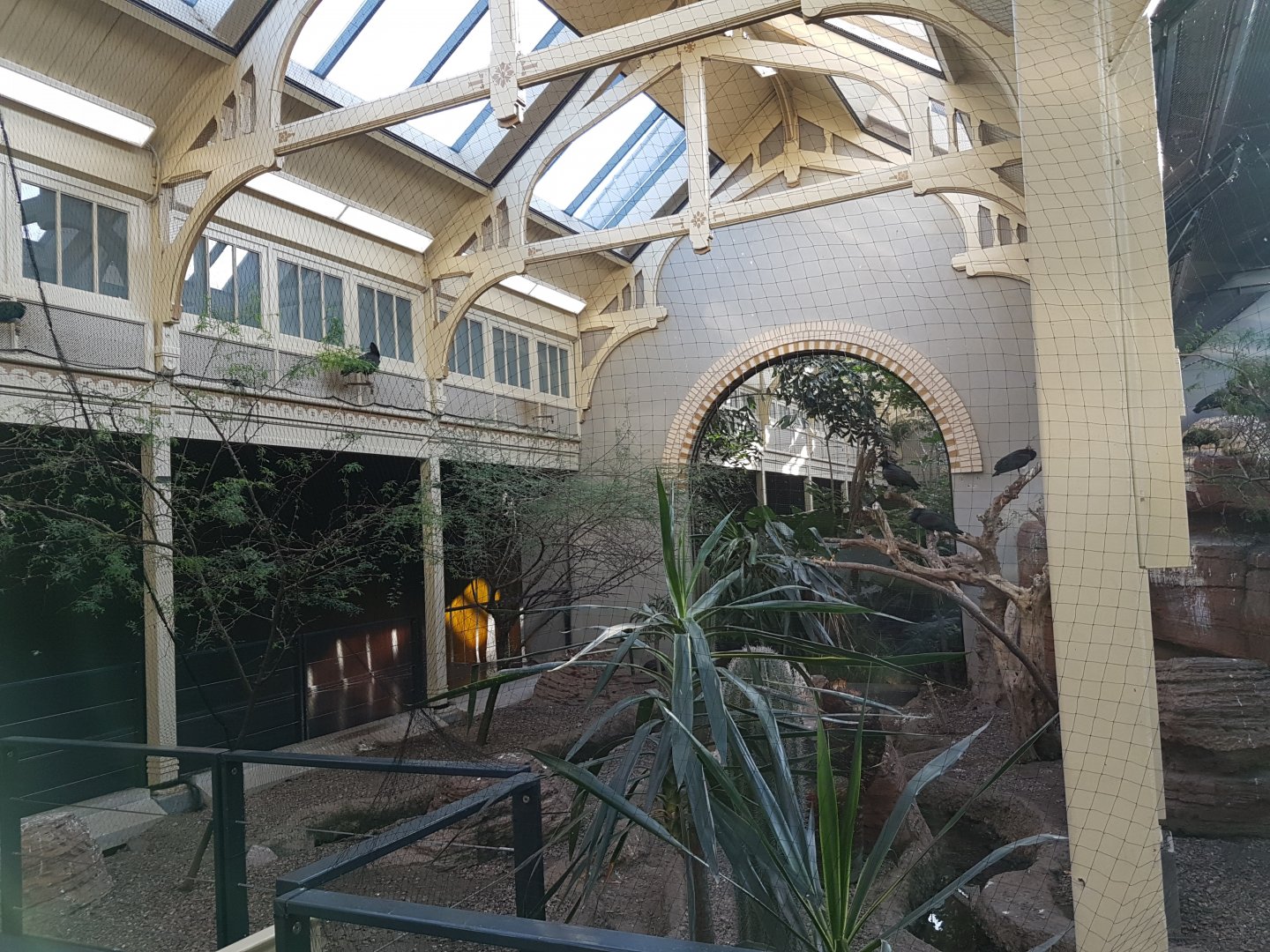 Bird-house - Arid part