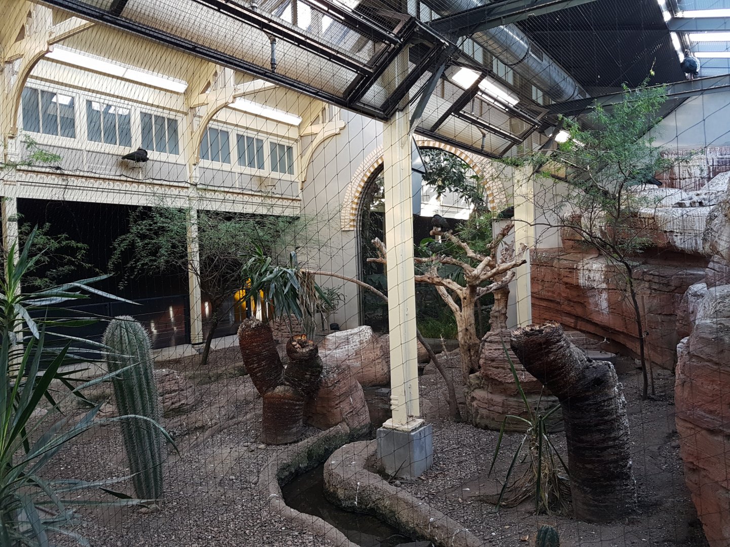 Bird-house - Arid part