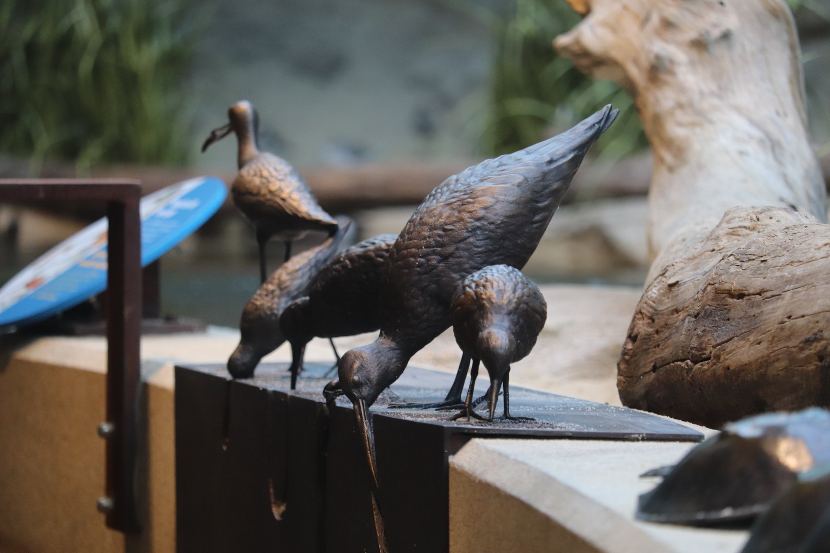 Bird House - Artwork in the Delaware Bay Aviary