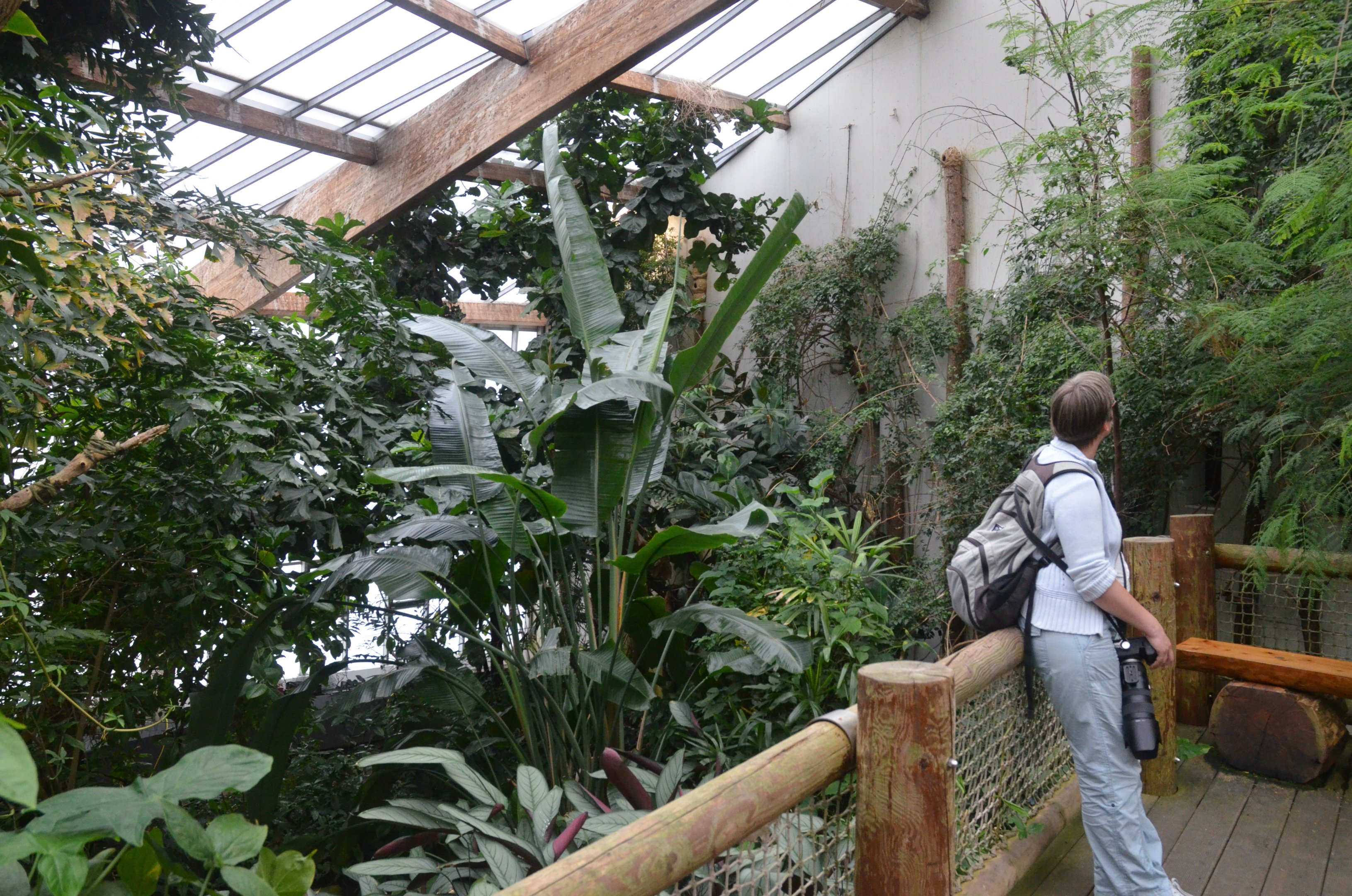 Bird House at Wuppertal, 16/06/19