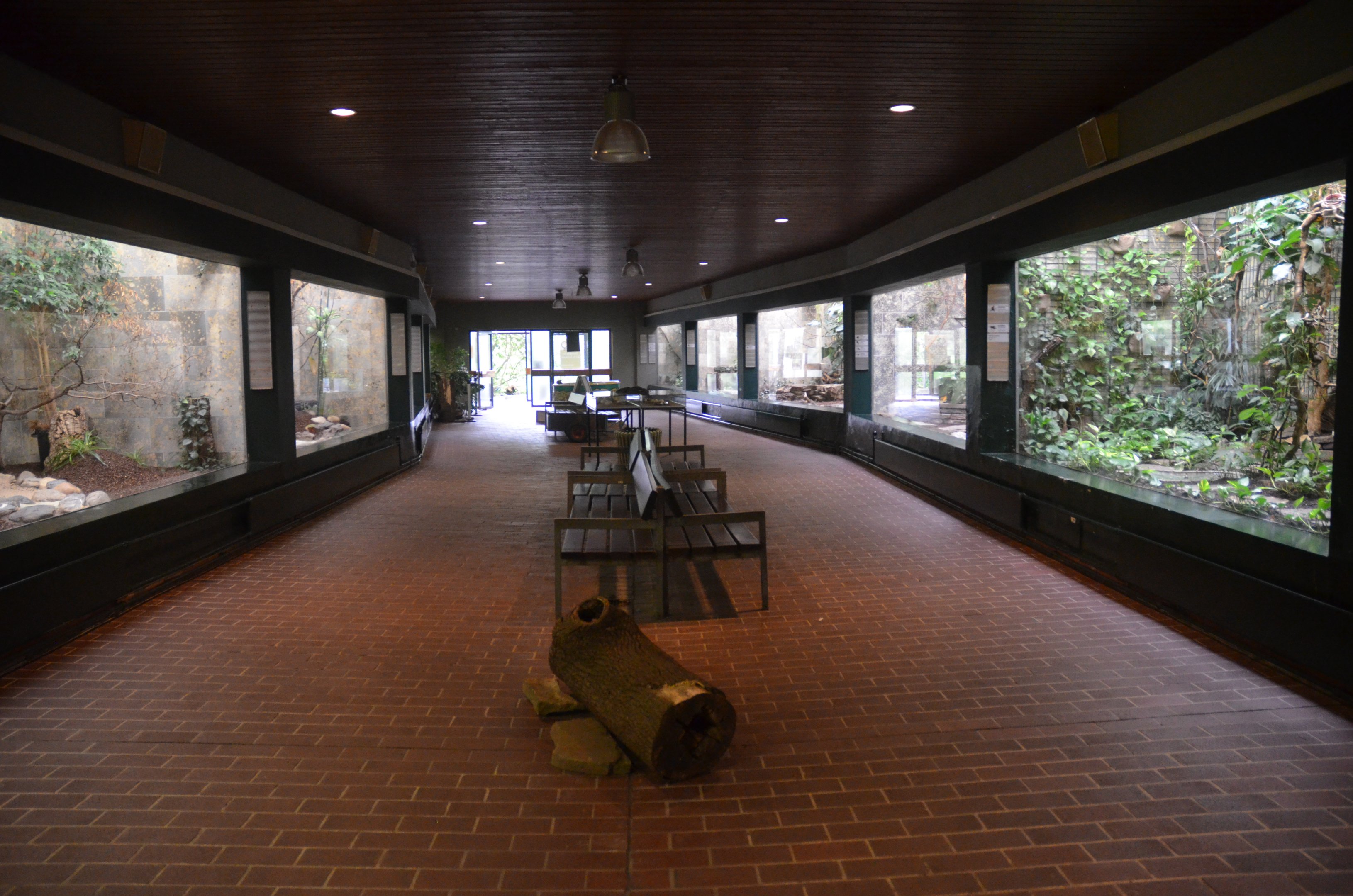 Bird House at Wuppertal, 16/06/19