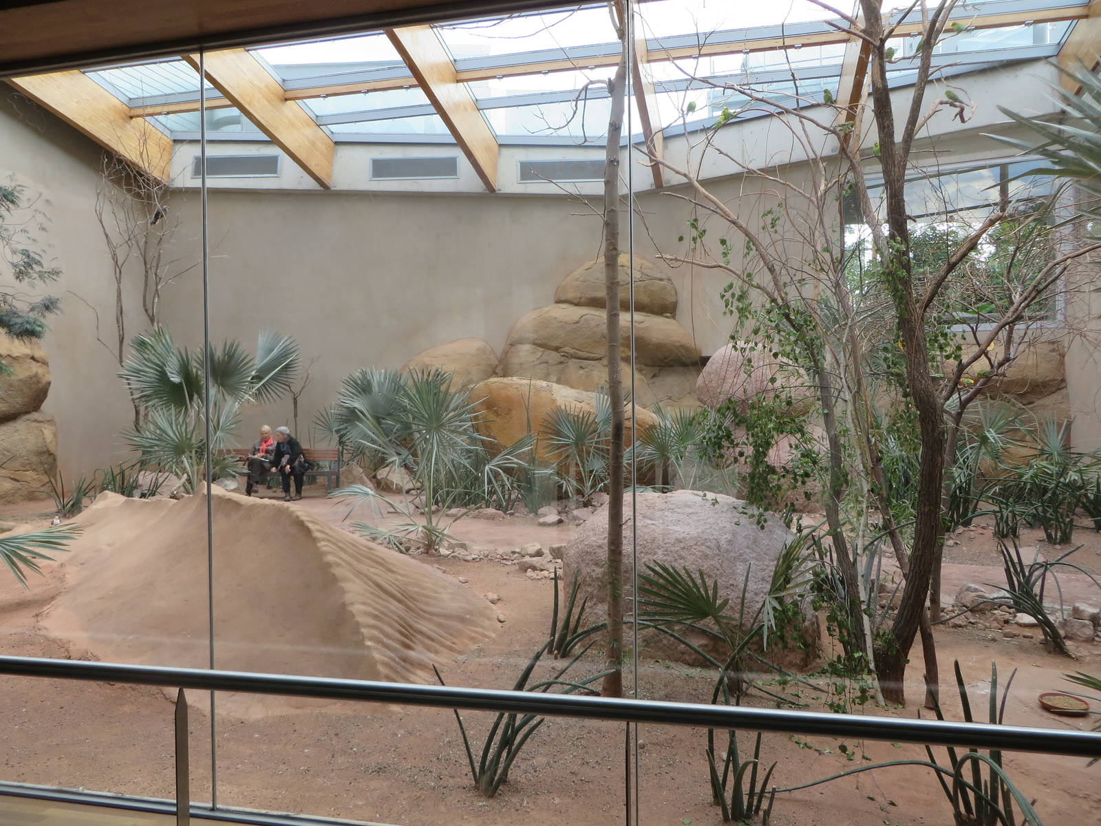 Bird house - Australian free flight