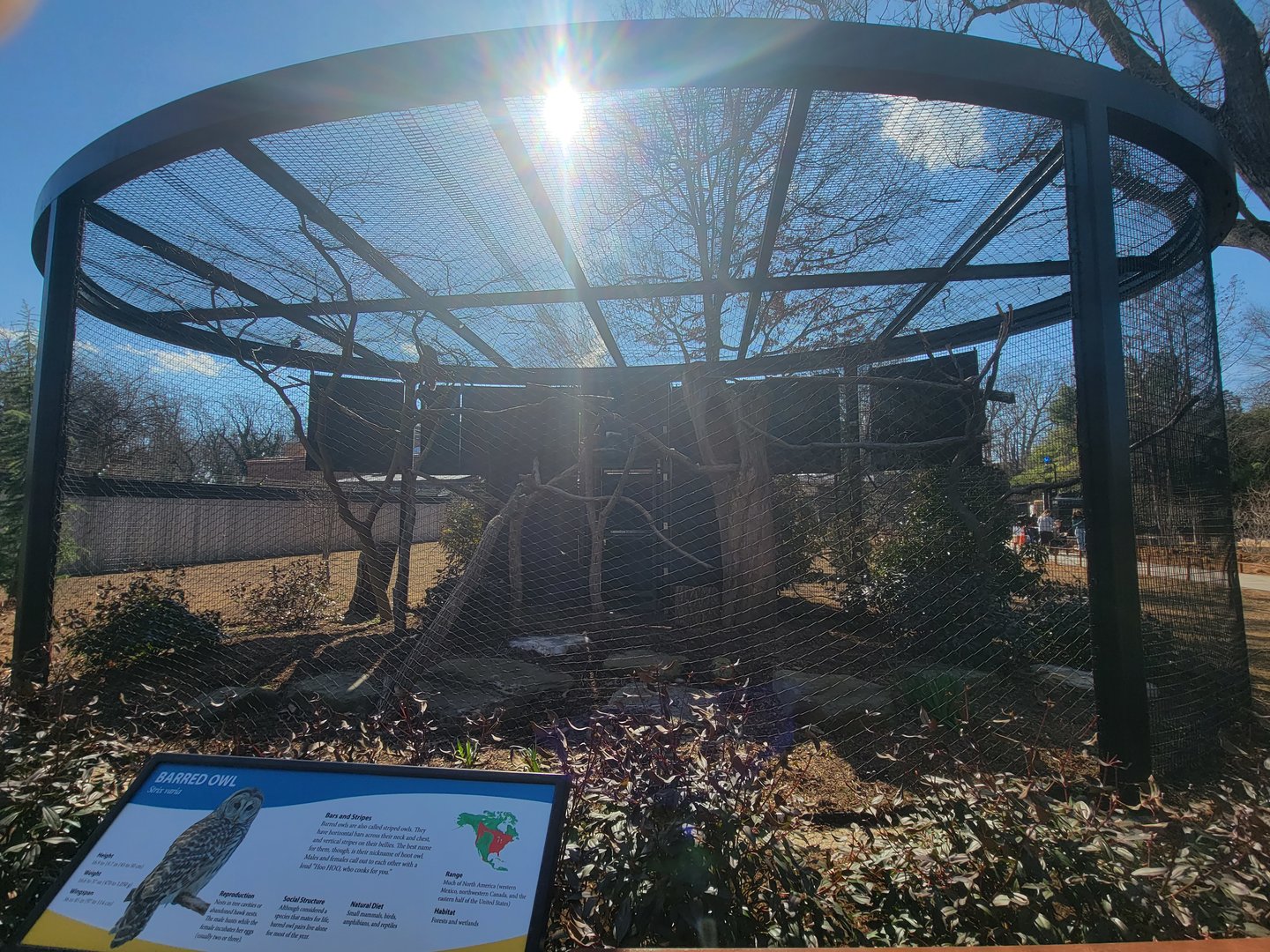 Bird House - Barred Owl Exhibit