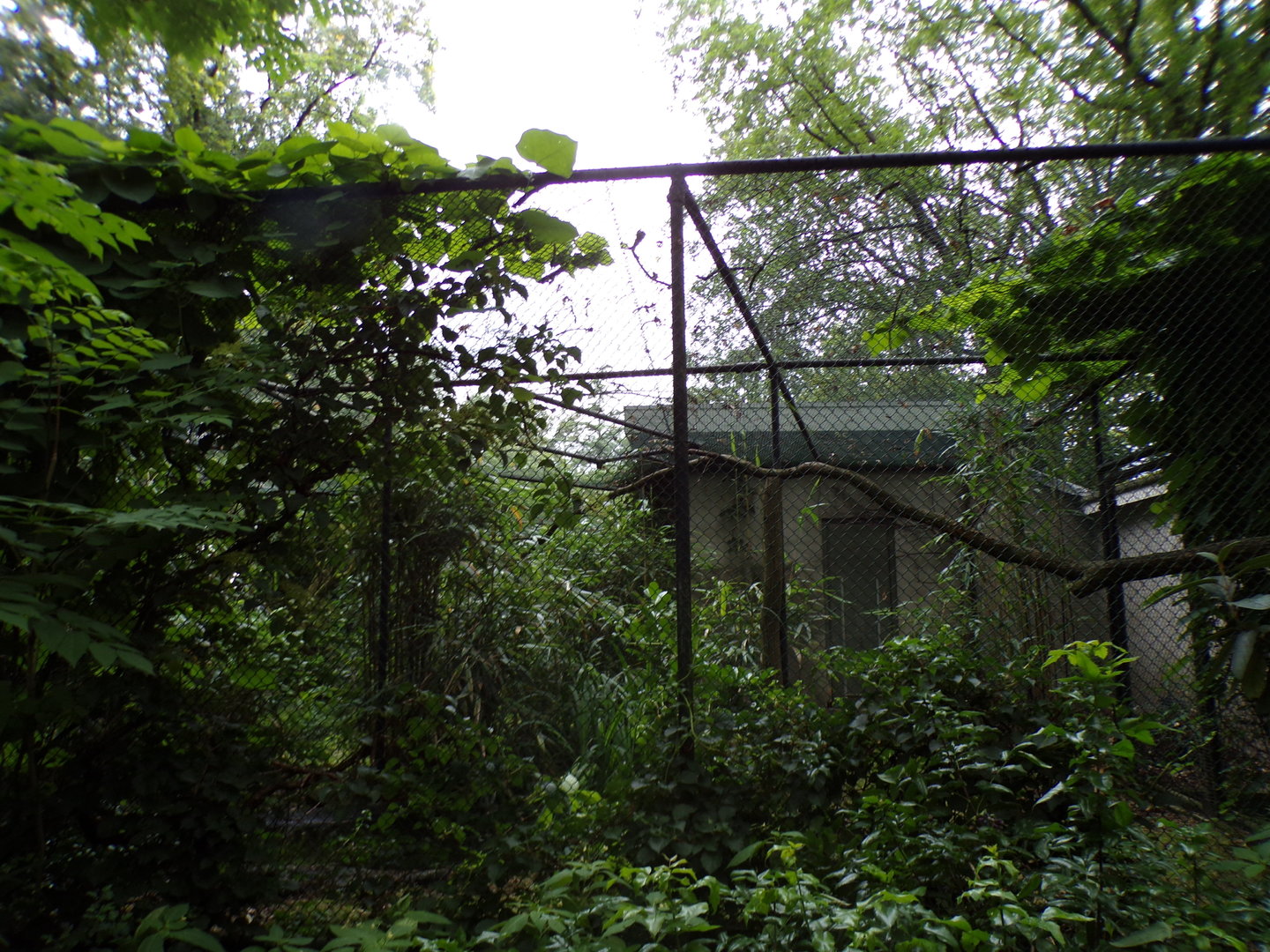 Bird house- Bird cage (unsure what one this is for) 6.7.23