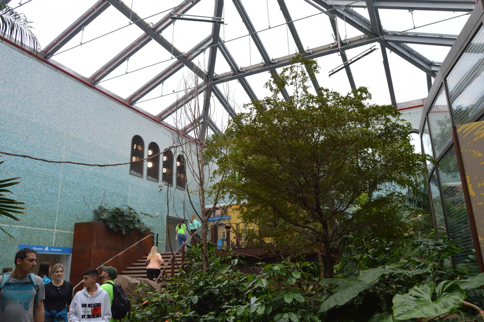 Bird House - Bird-friendly Coffeee Farm Aviary