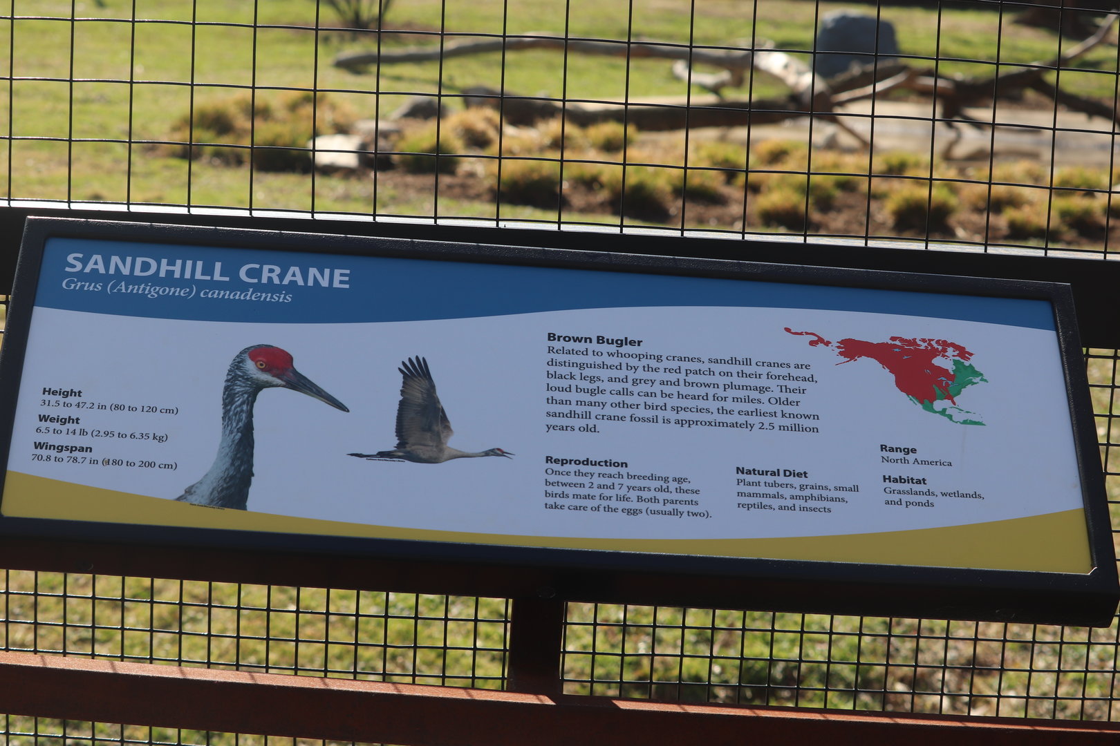 Bird House - Bird Plateau Signage Example