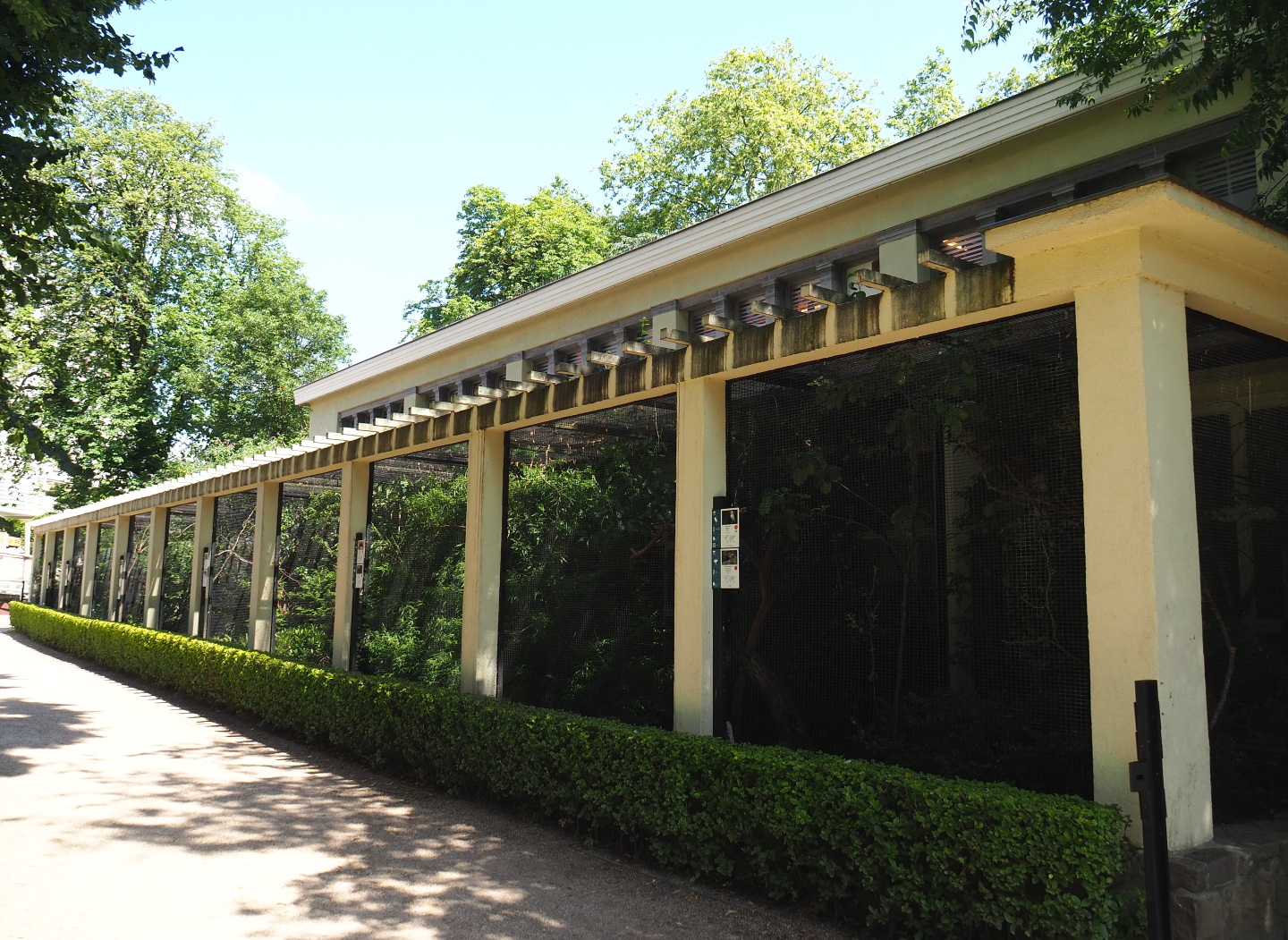 BIrd house - Block of smaller outdoor aviaries, 2021-07-17