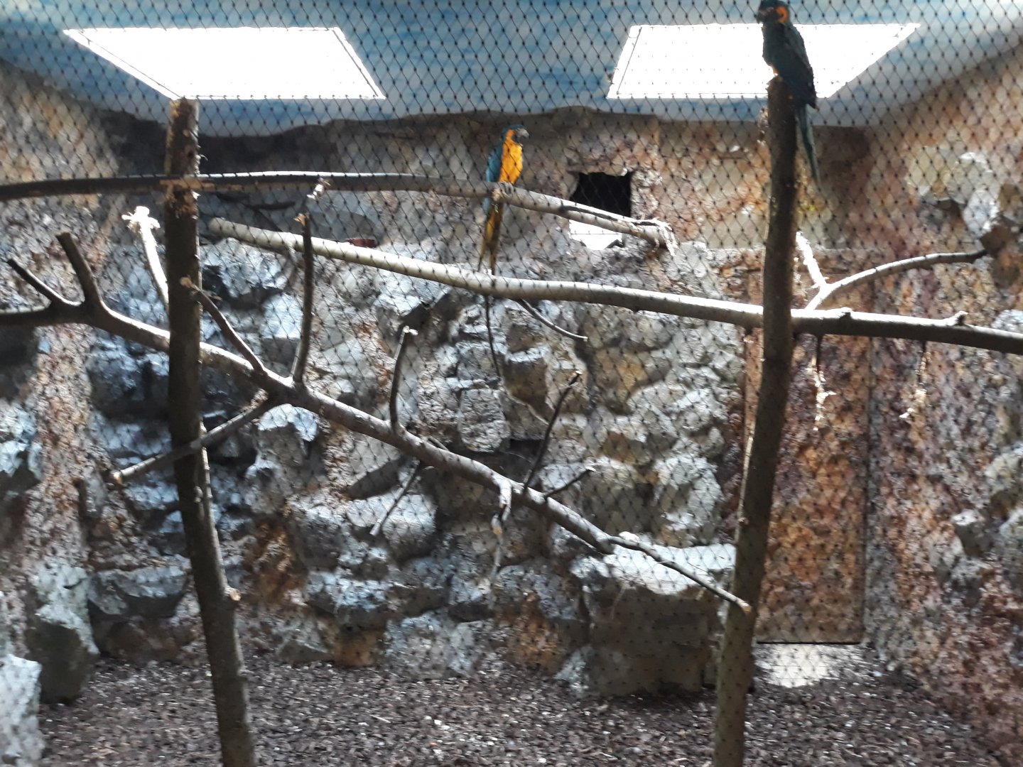 Bird house - Blue-throated macaw exhibit